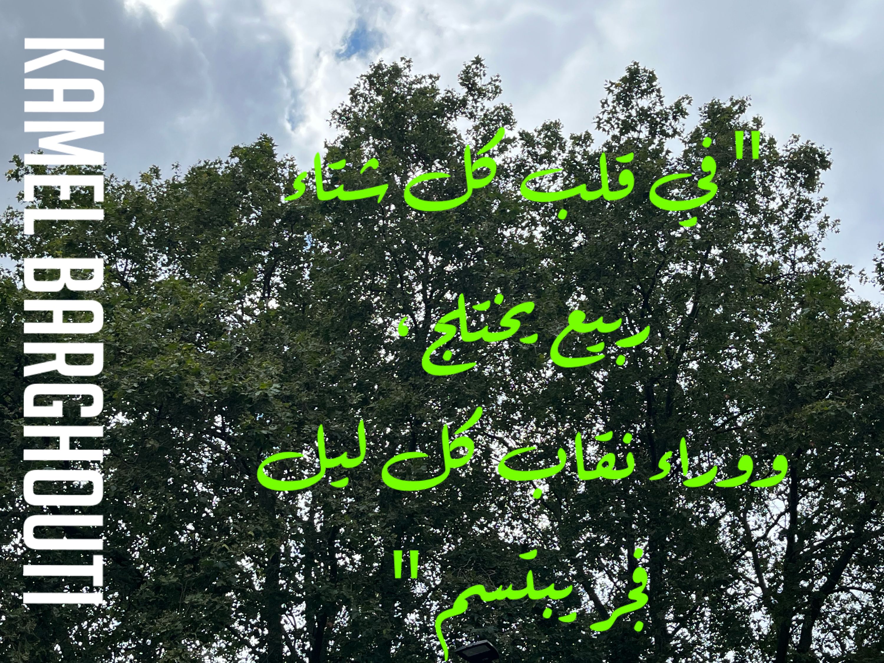 ابتسامة – اقتباس 25