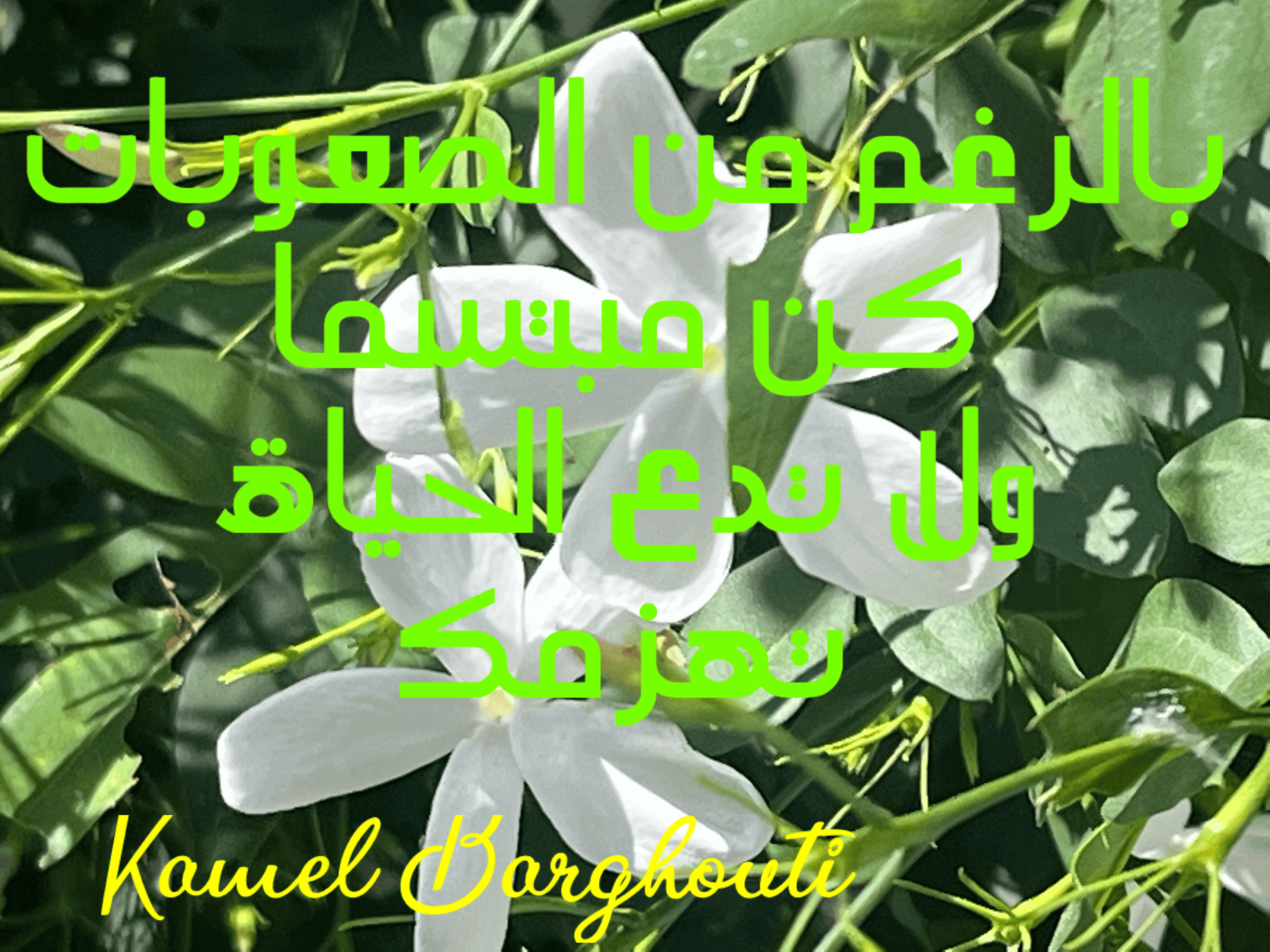 ابتسامة – اقتباس 10