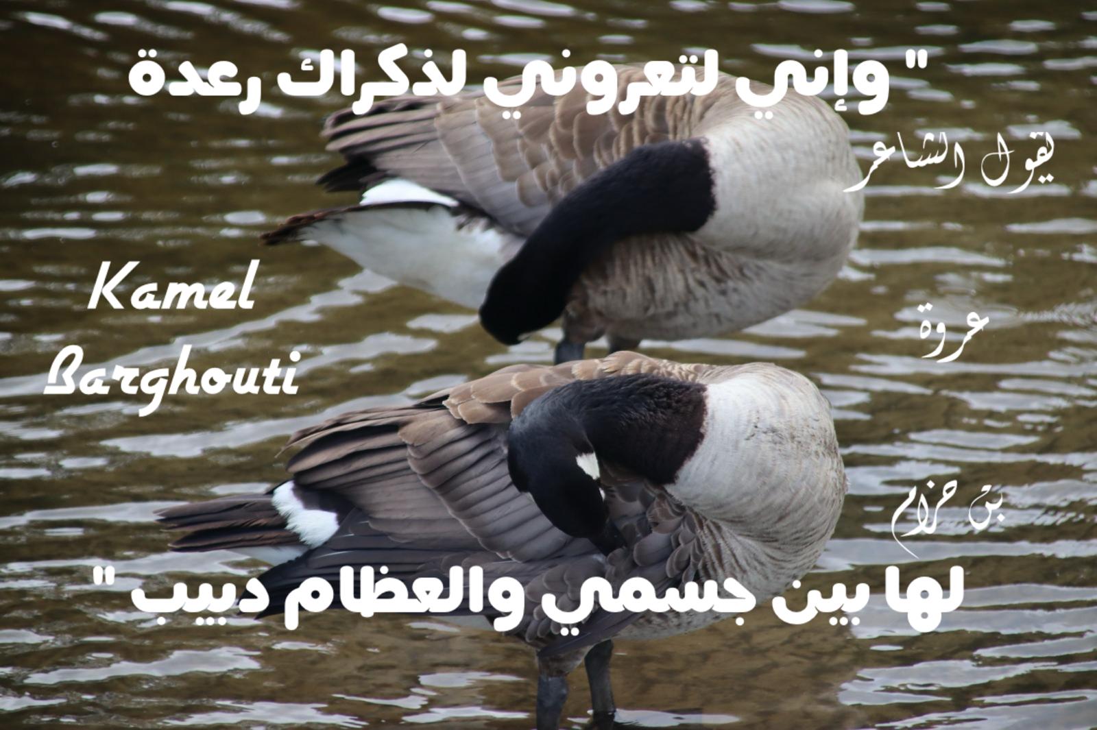 أماكن ولقاءات وأوقات – اقتباس 121