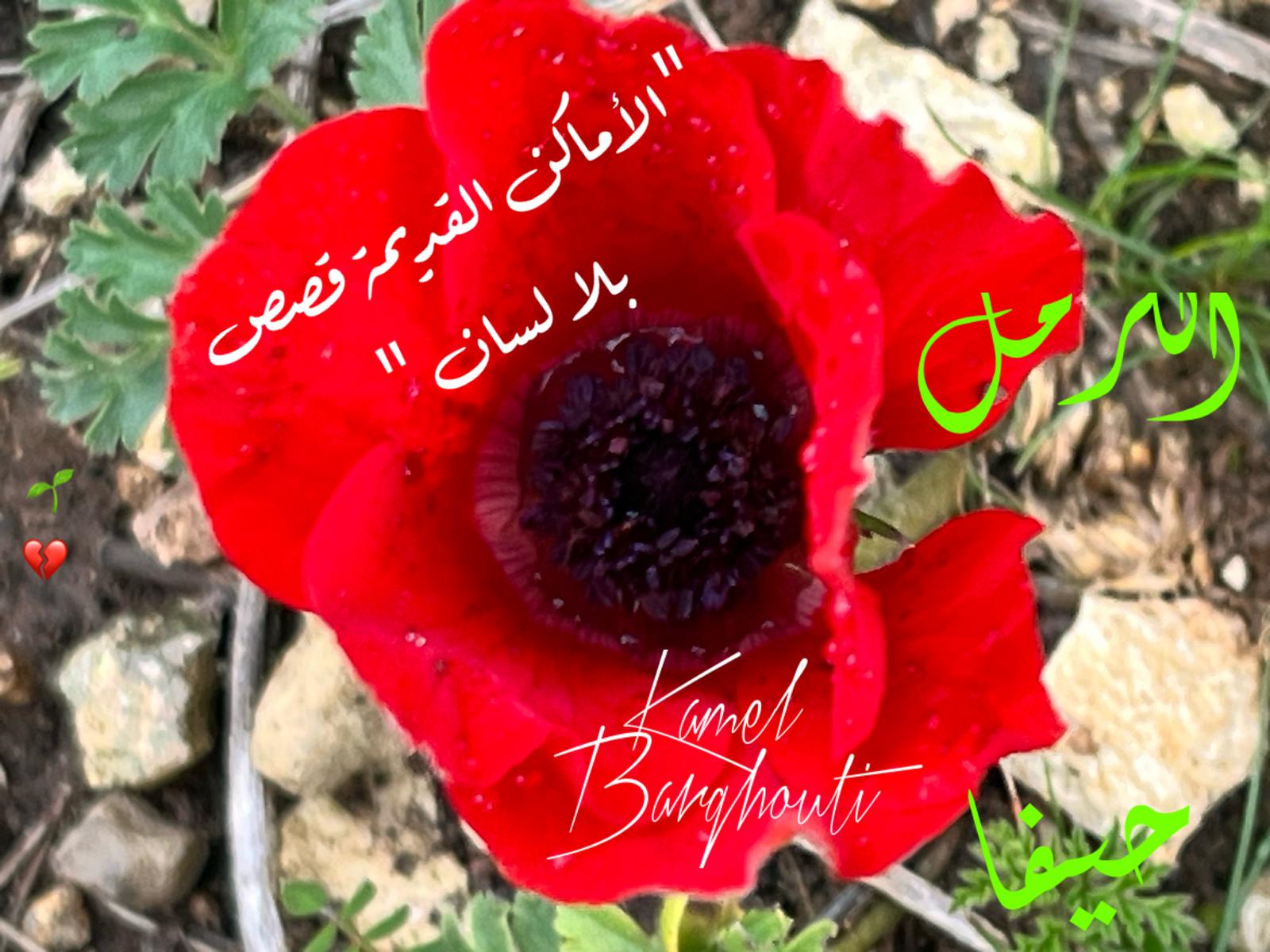 أماكن ولقاءات وأوقات – اقتباس 122