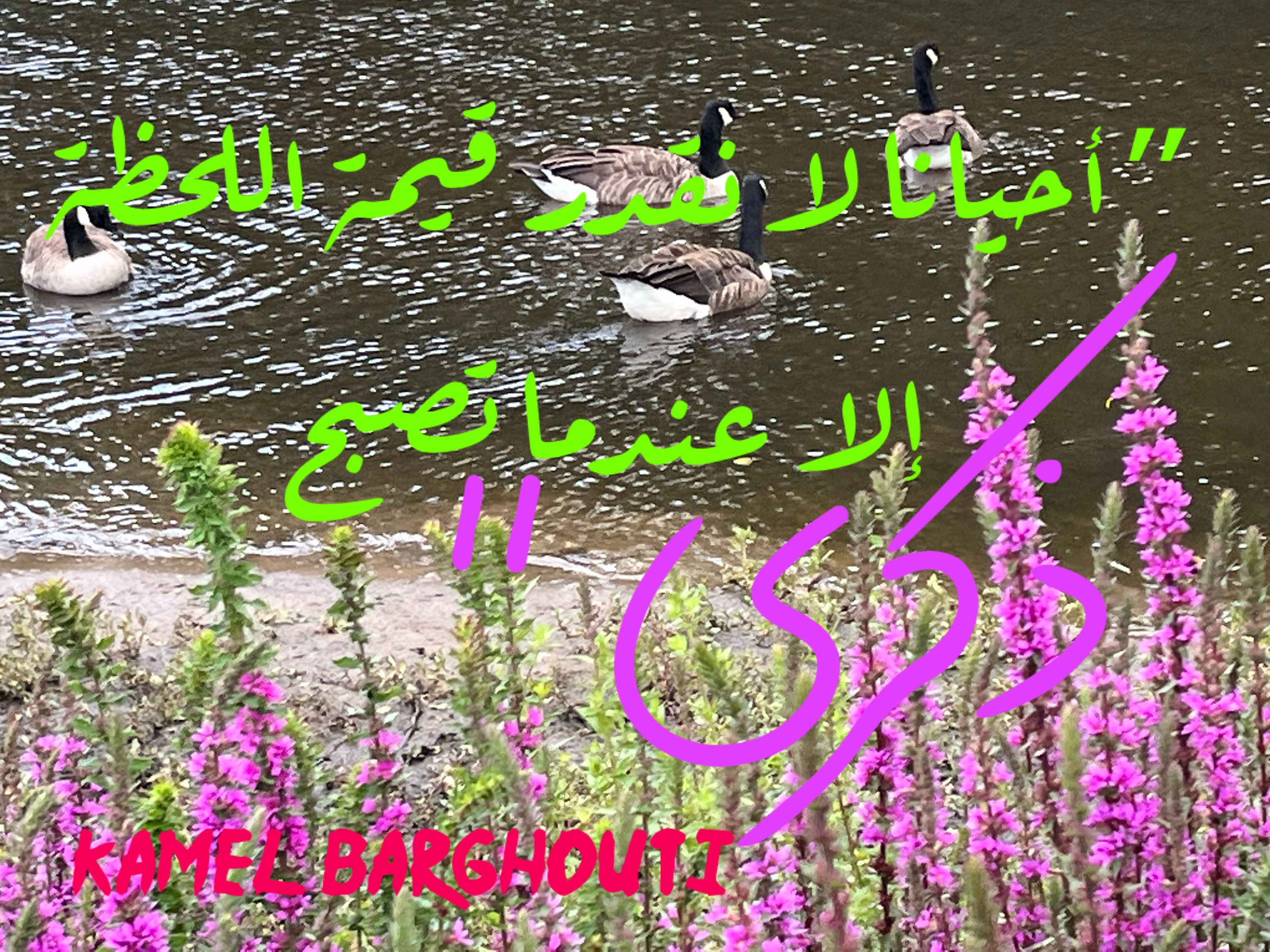 أماكن ولقاءات وأوقات – اقتباس 81