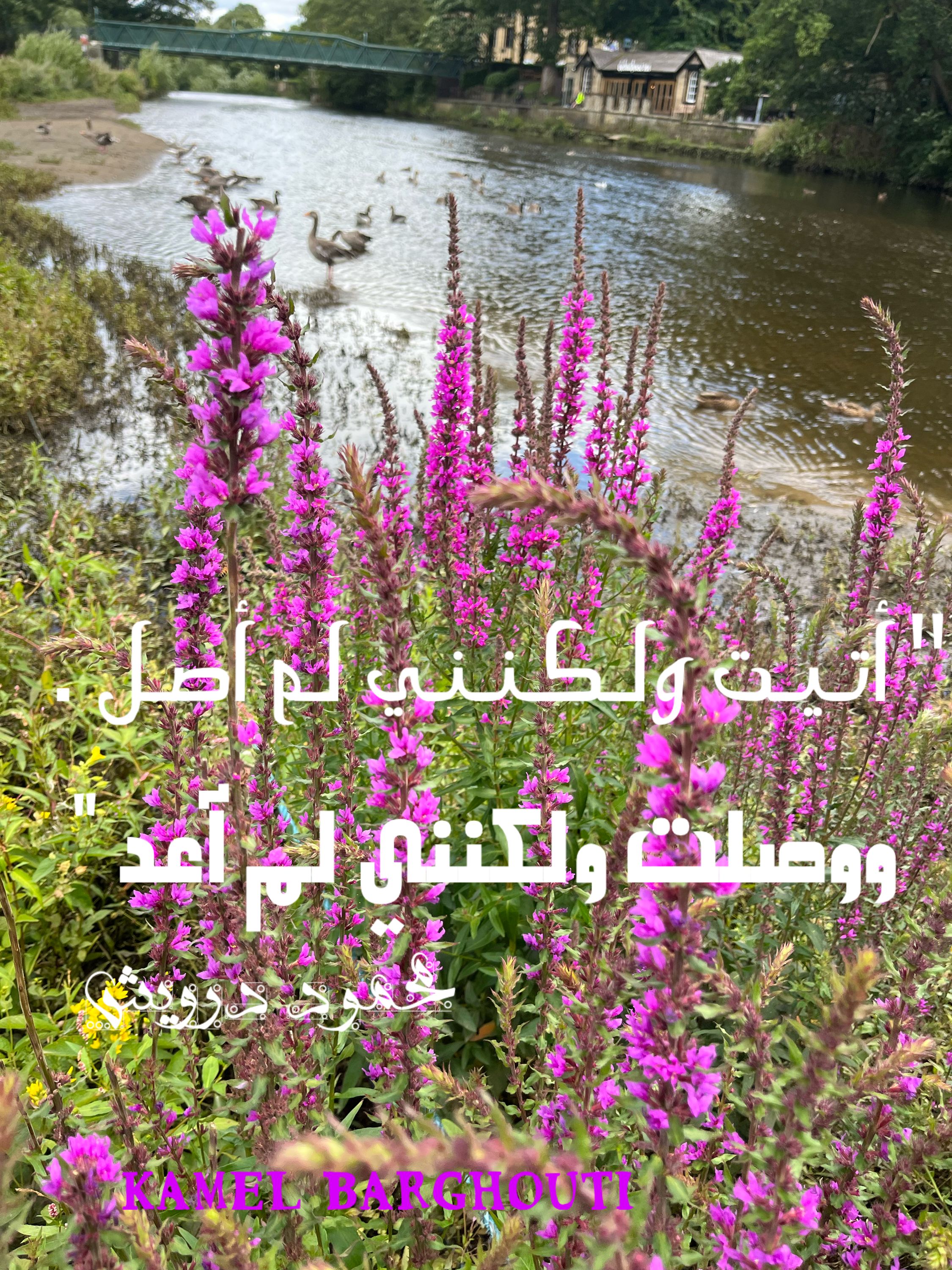 أماكن ولقاءات وأوقات – اقتباس 66