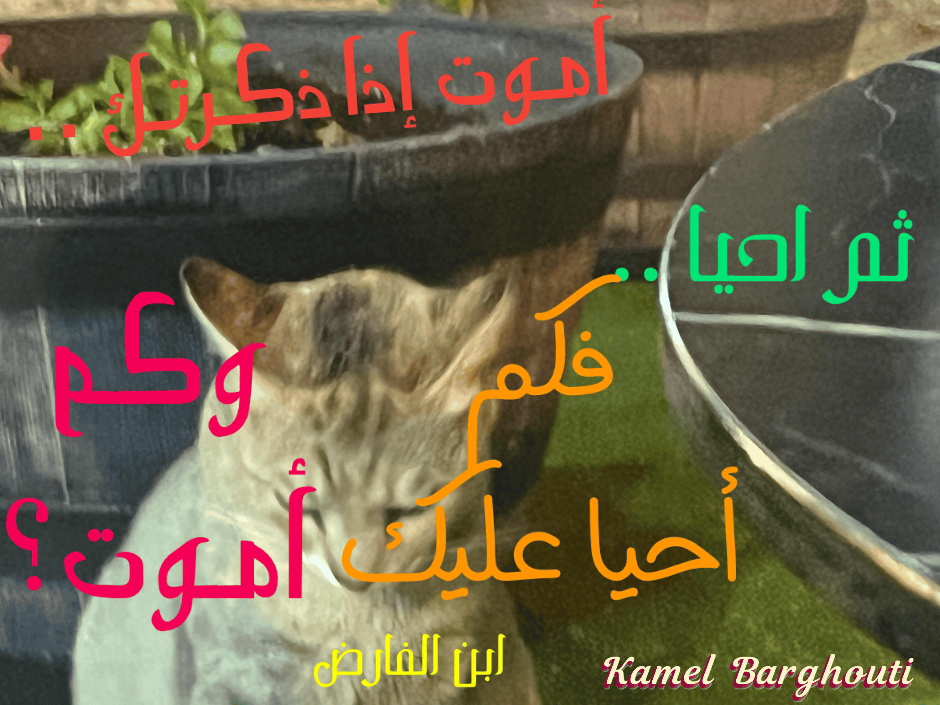 أماكن ولقاءات وأوقات – اقتباس 50