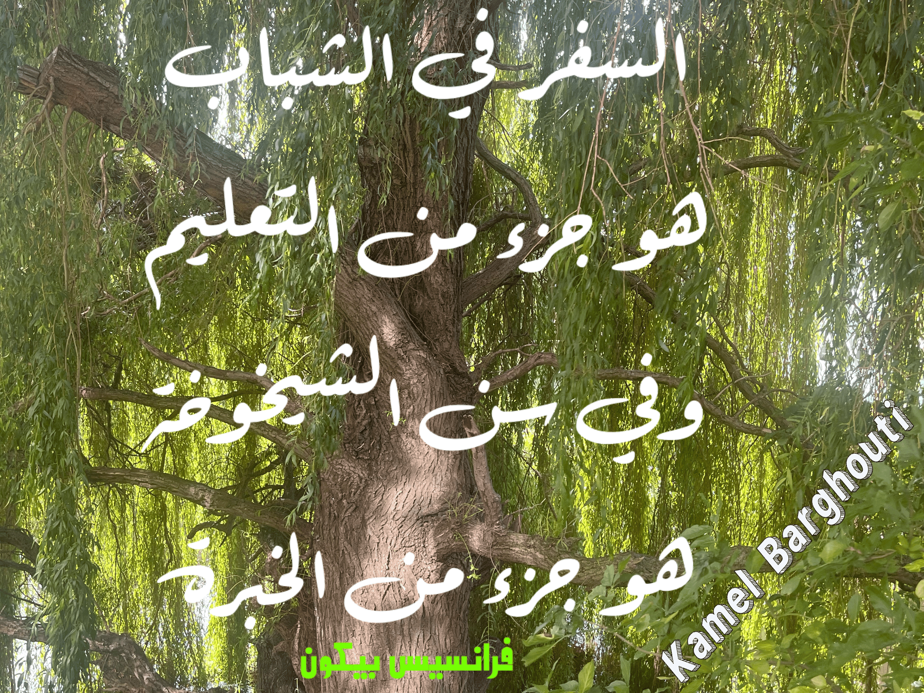 أماكن ولقاءات وأوقات – اقتباس 28