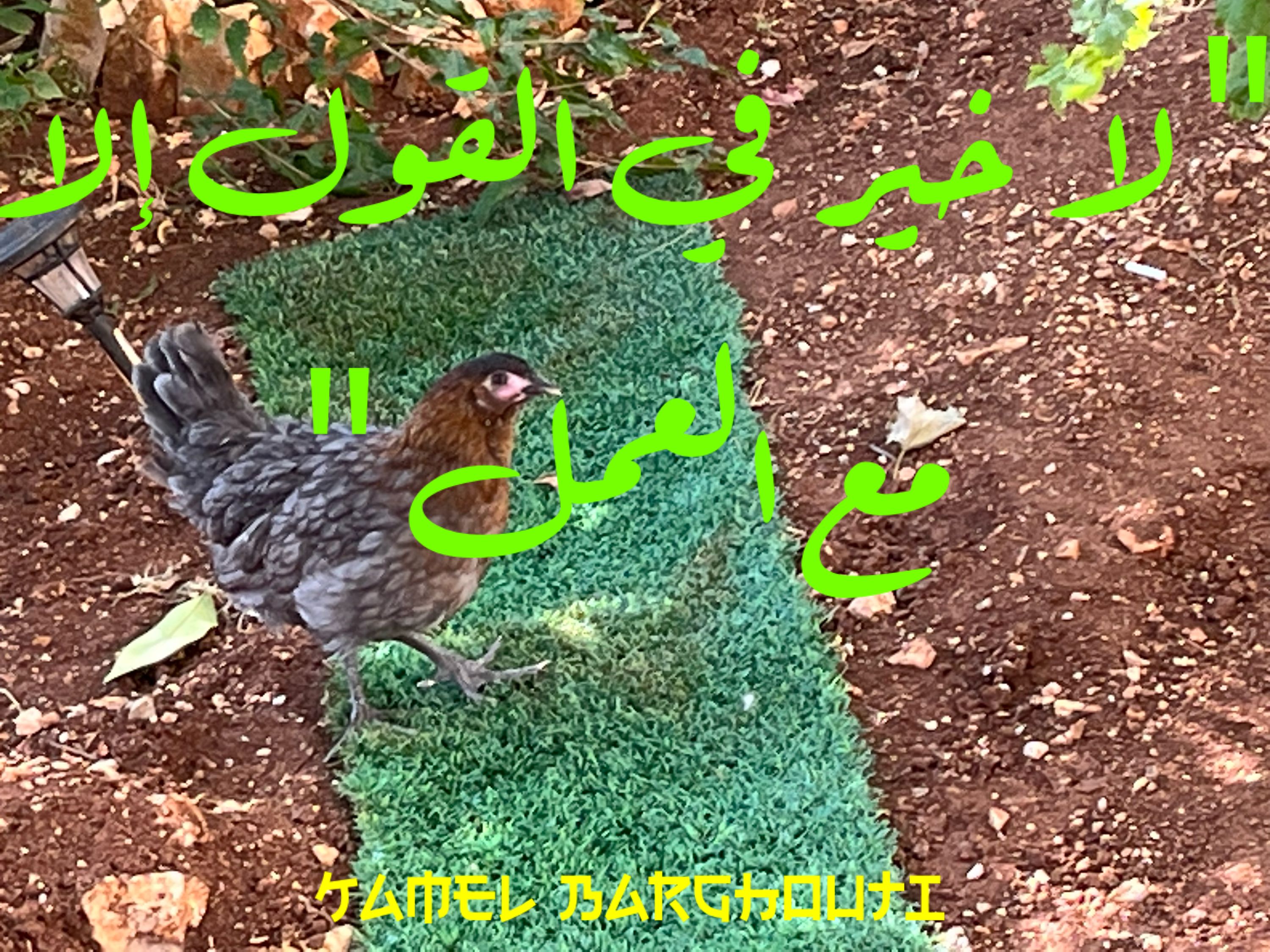 علم وعمل – اقتباس 29