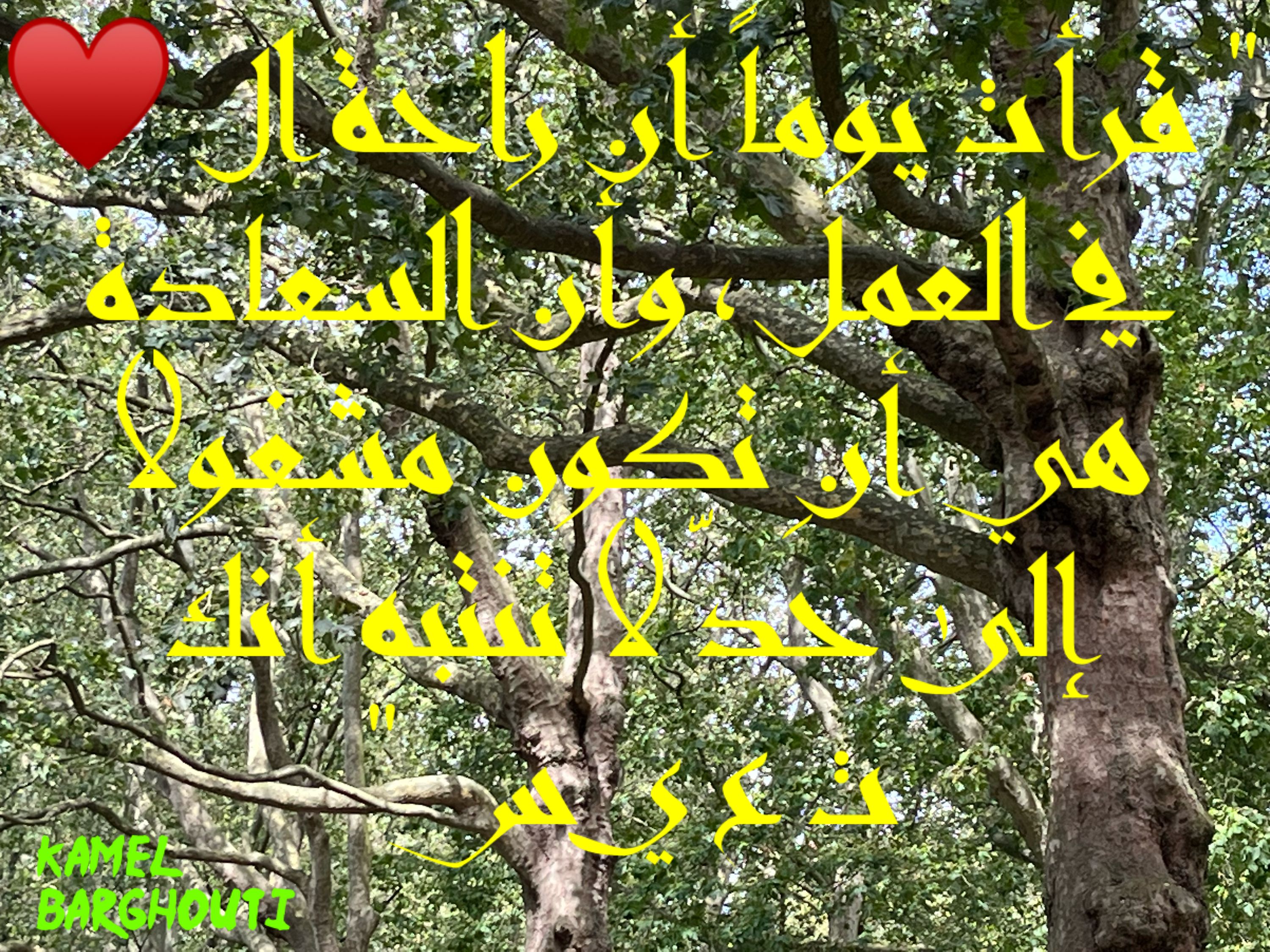 علم وعمل – اقتباس 18