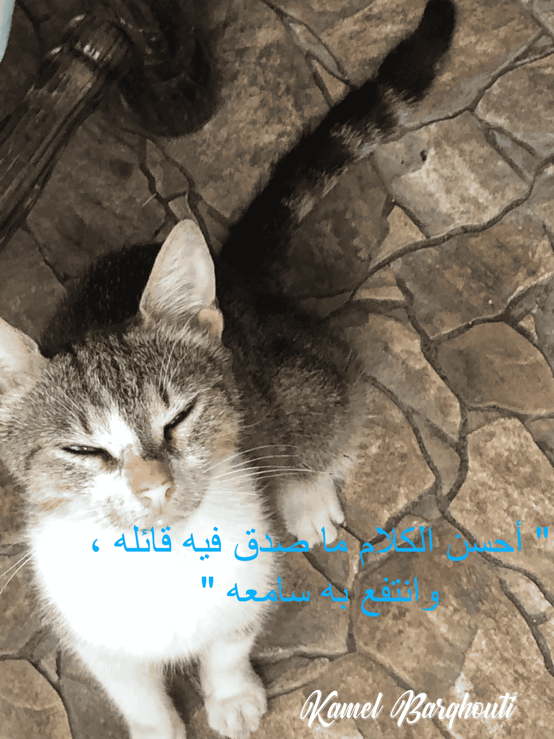علم وعمل – اقتباس 15