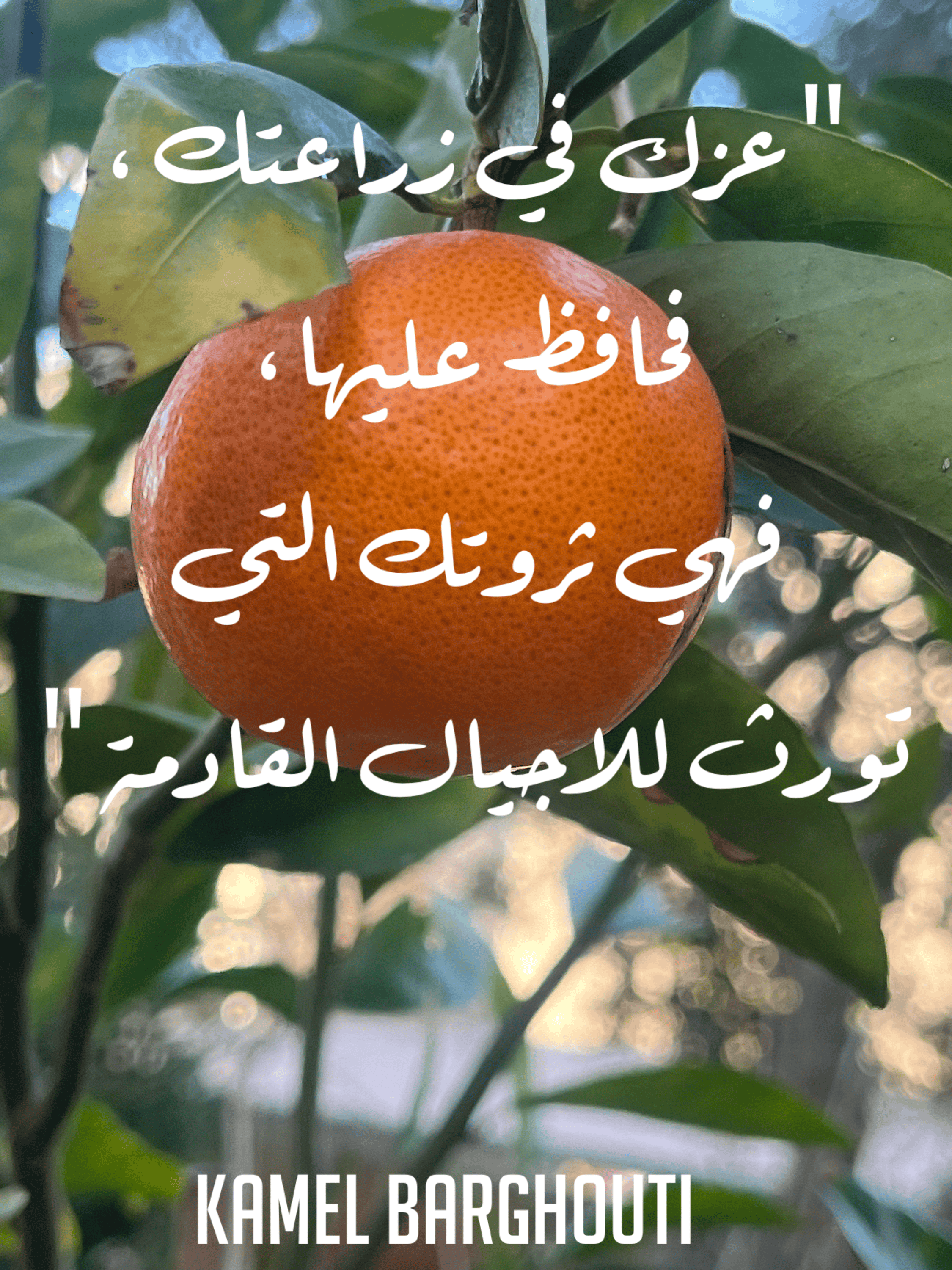 علم وعمل – اقتباس 7