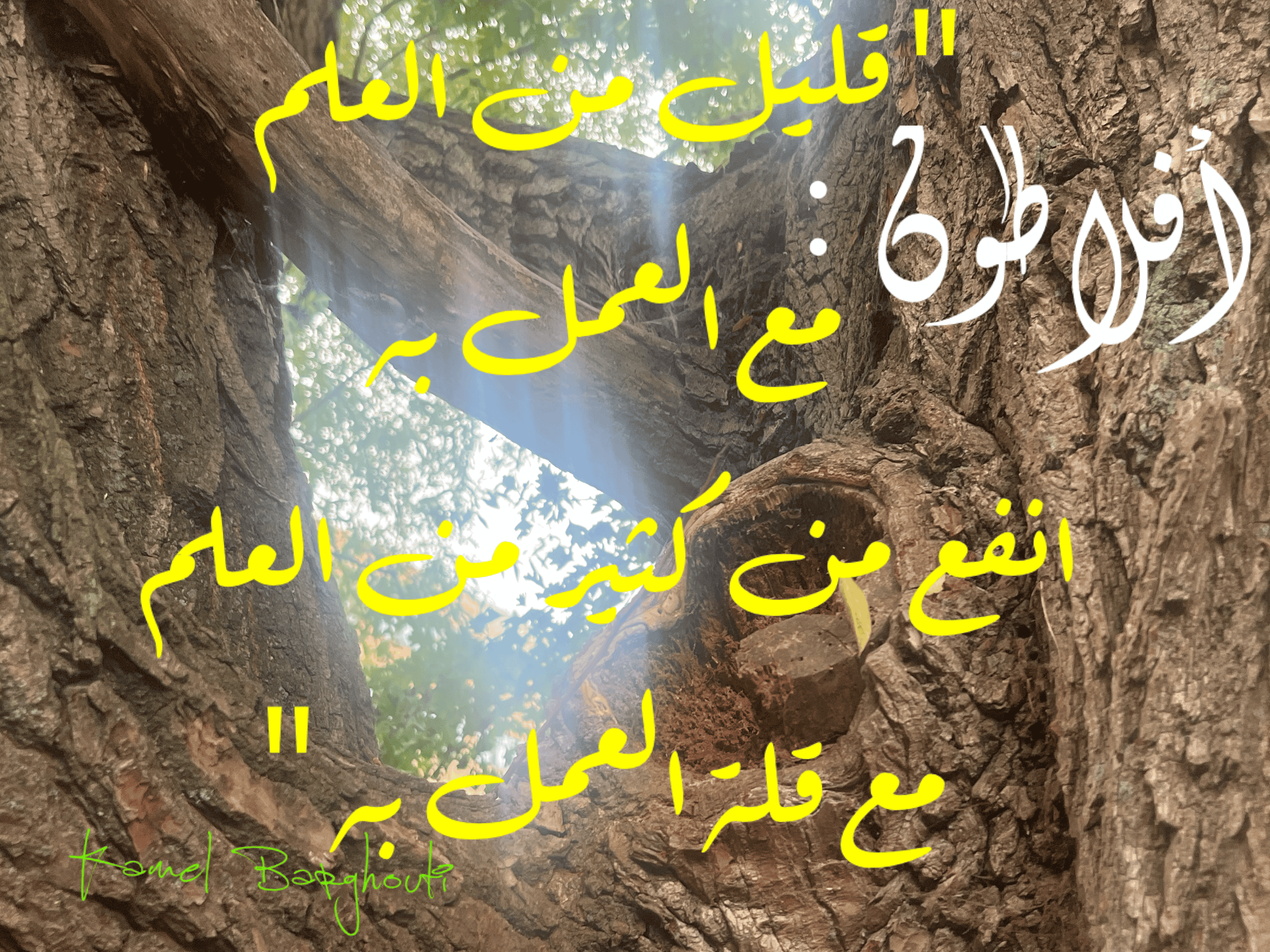 علم وعمل – اقتباس 10