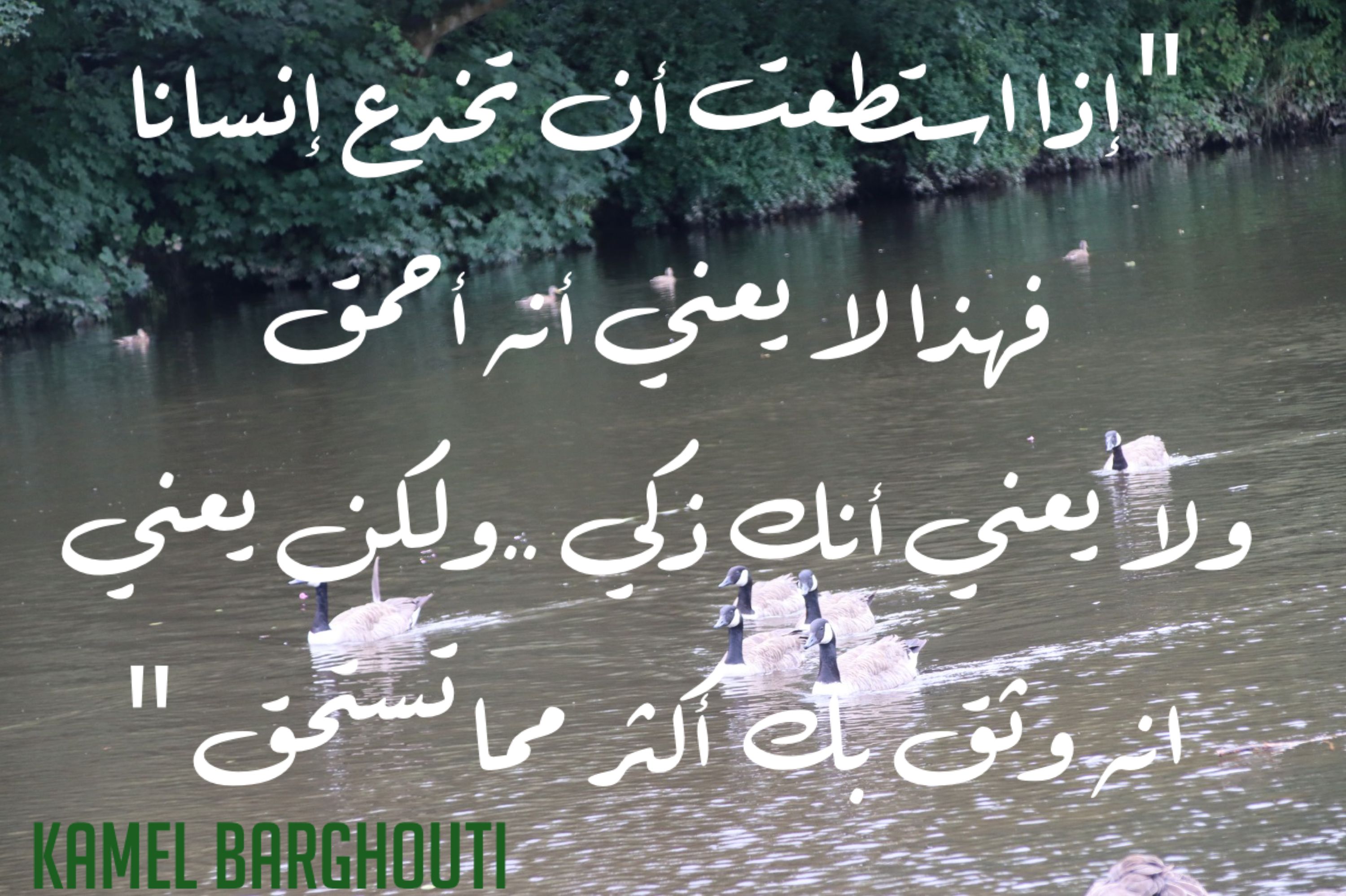 الحق والعدل والصدق – اقتباس 66