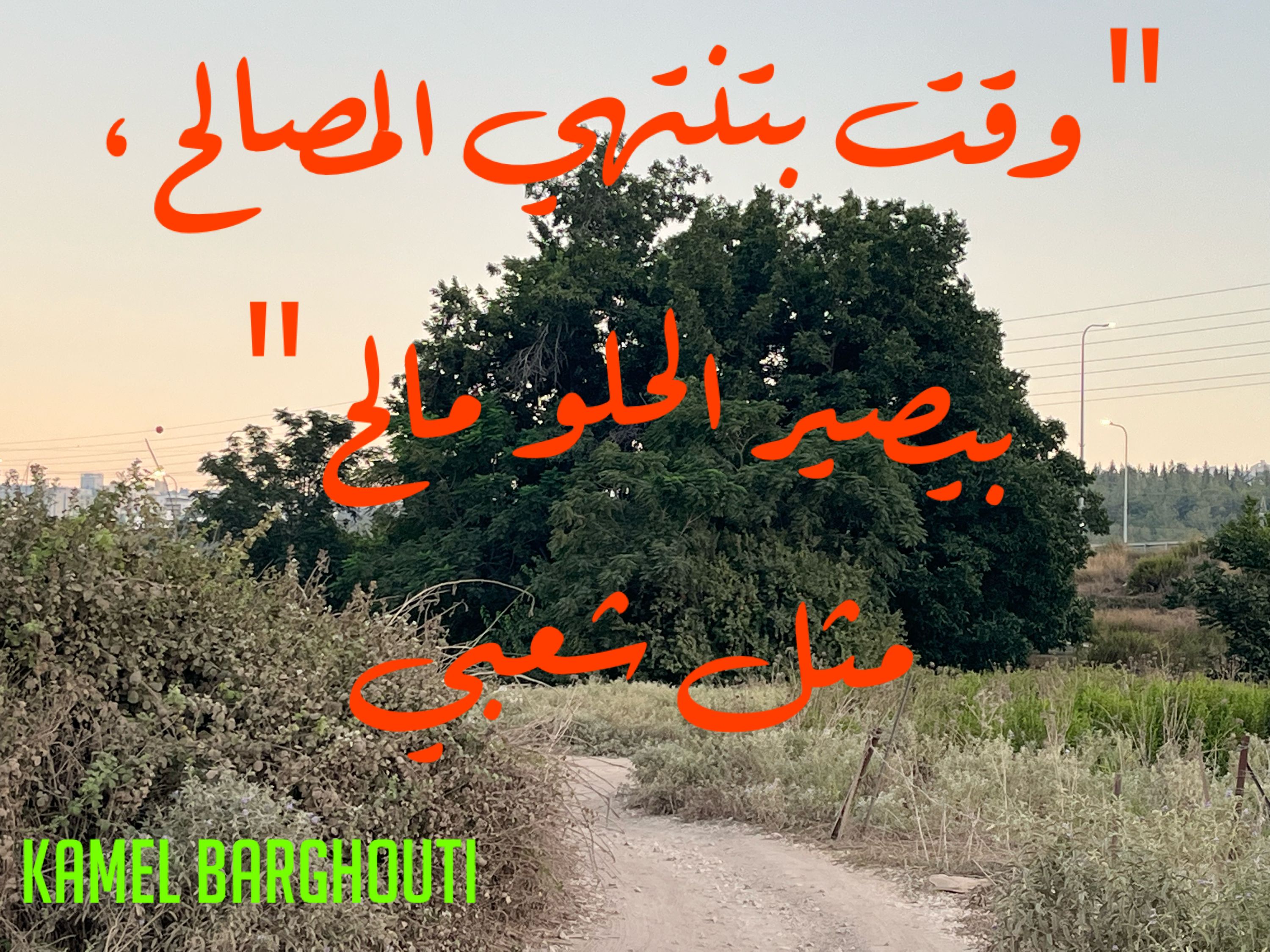 الحق والعدل والصدق – اقتباس 45