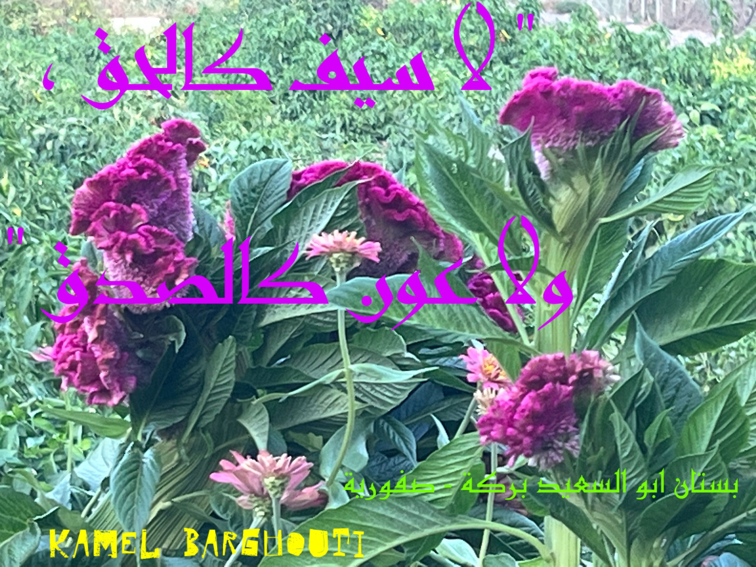 الحق والعدل والصدق – اقتباس 40