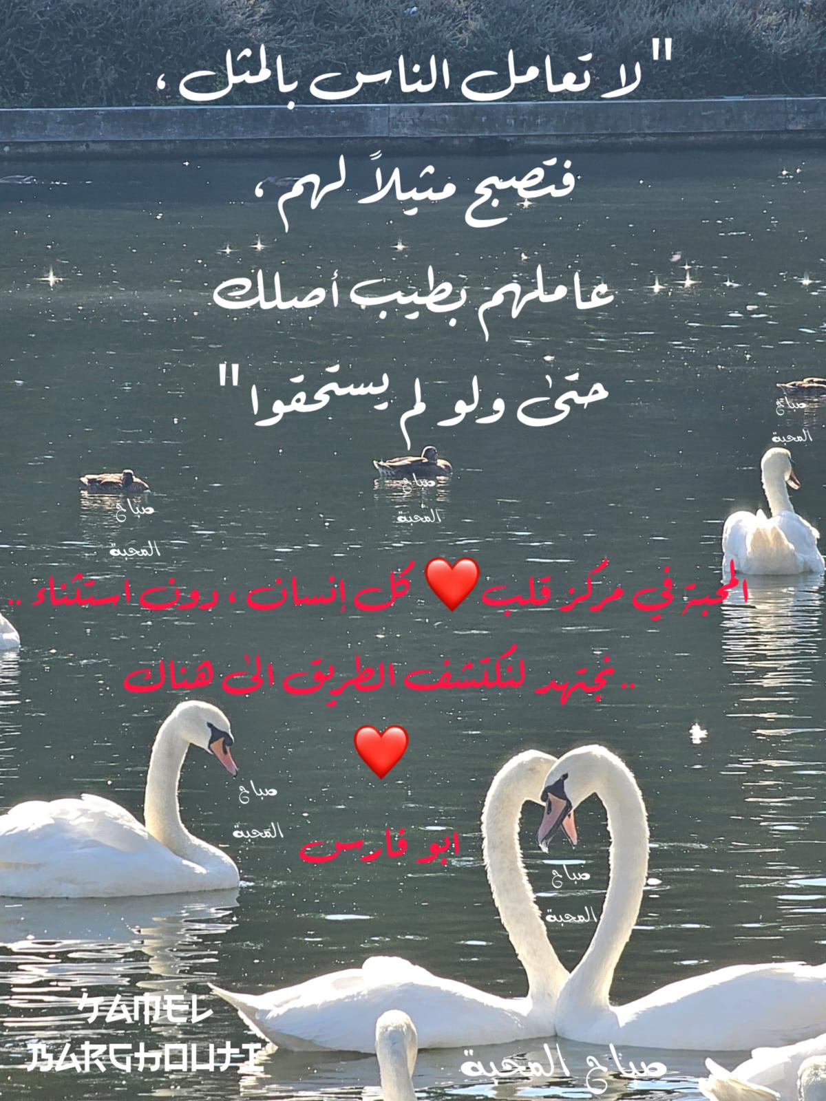 اللطف والاحترام – اقتباس 6