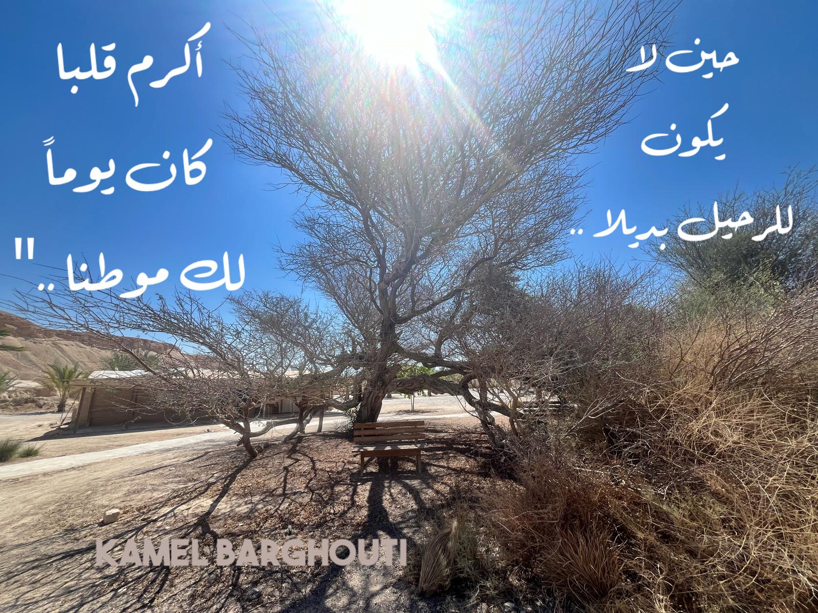 اللطف والاحترام – اقتباس 5