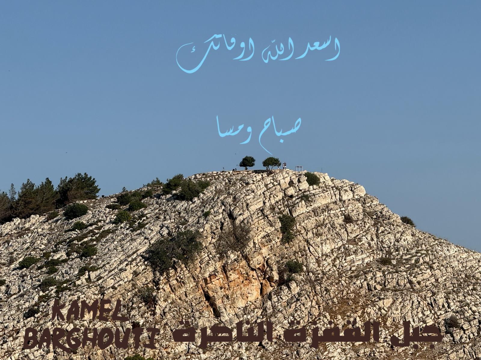 التحيات والتمنيات – اقتباس 19
