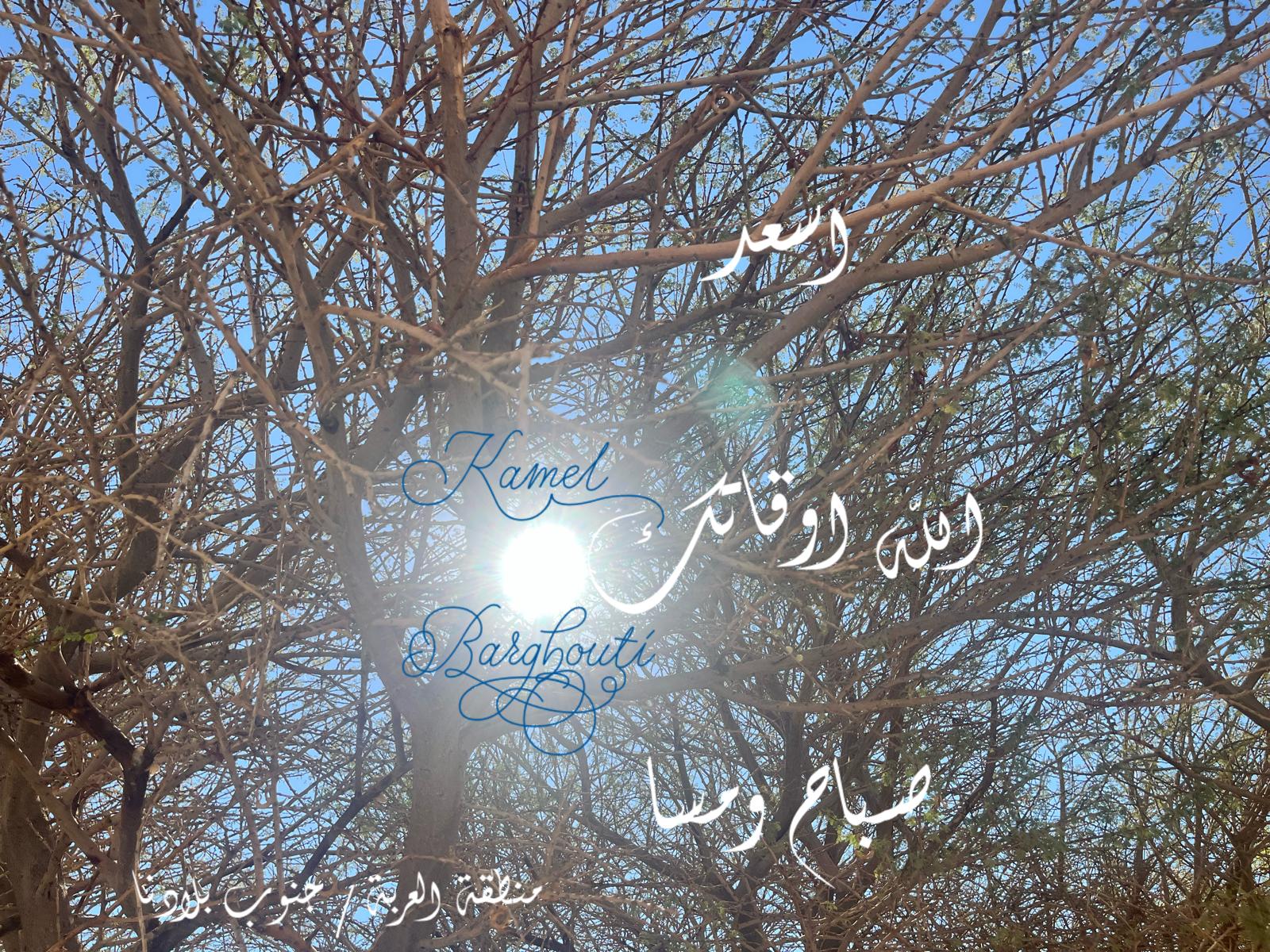 التحيات والتمنيات – اقتباس 10