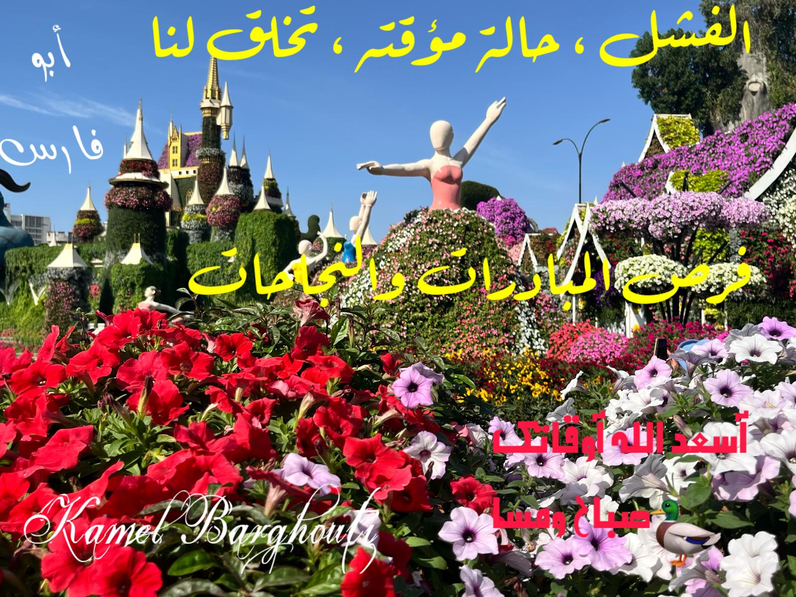 التحيات والتمنيات – اقتباس 21