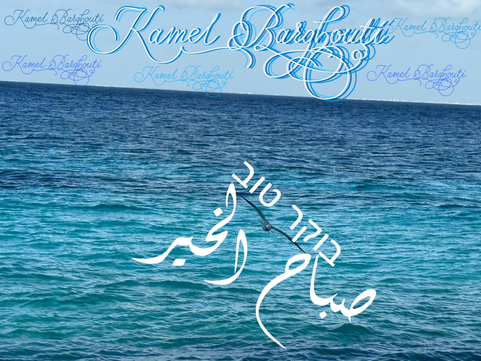 العبرية والأنجليزية – اقتباس 24