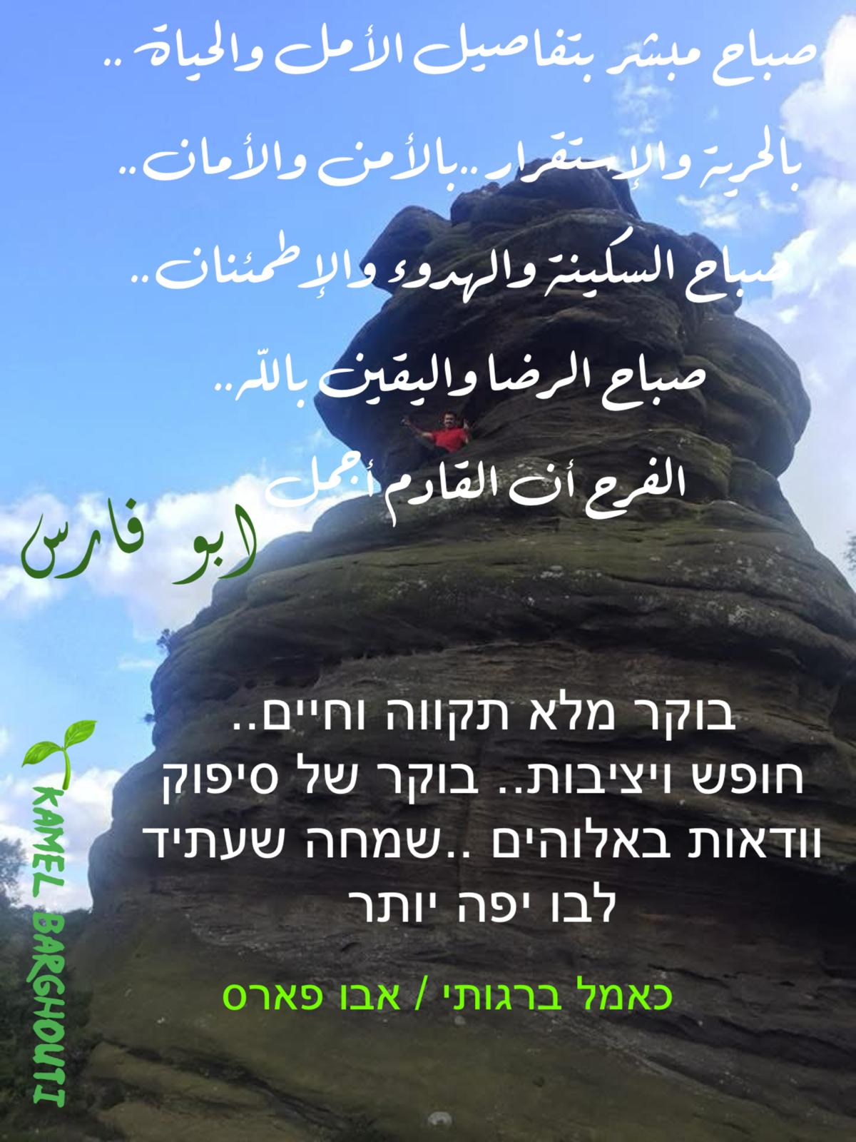 العبرية والأنجليزية – اقتباس 12