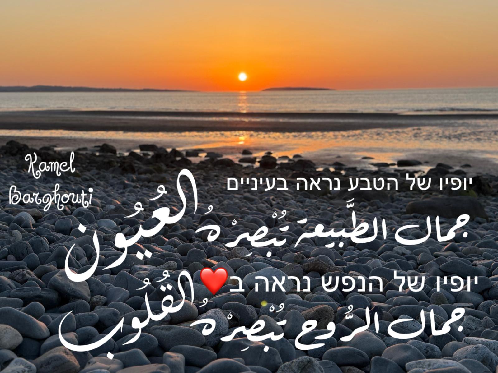 العبرية والأنجليزية – اقتباس 17
