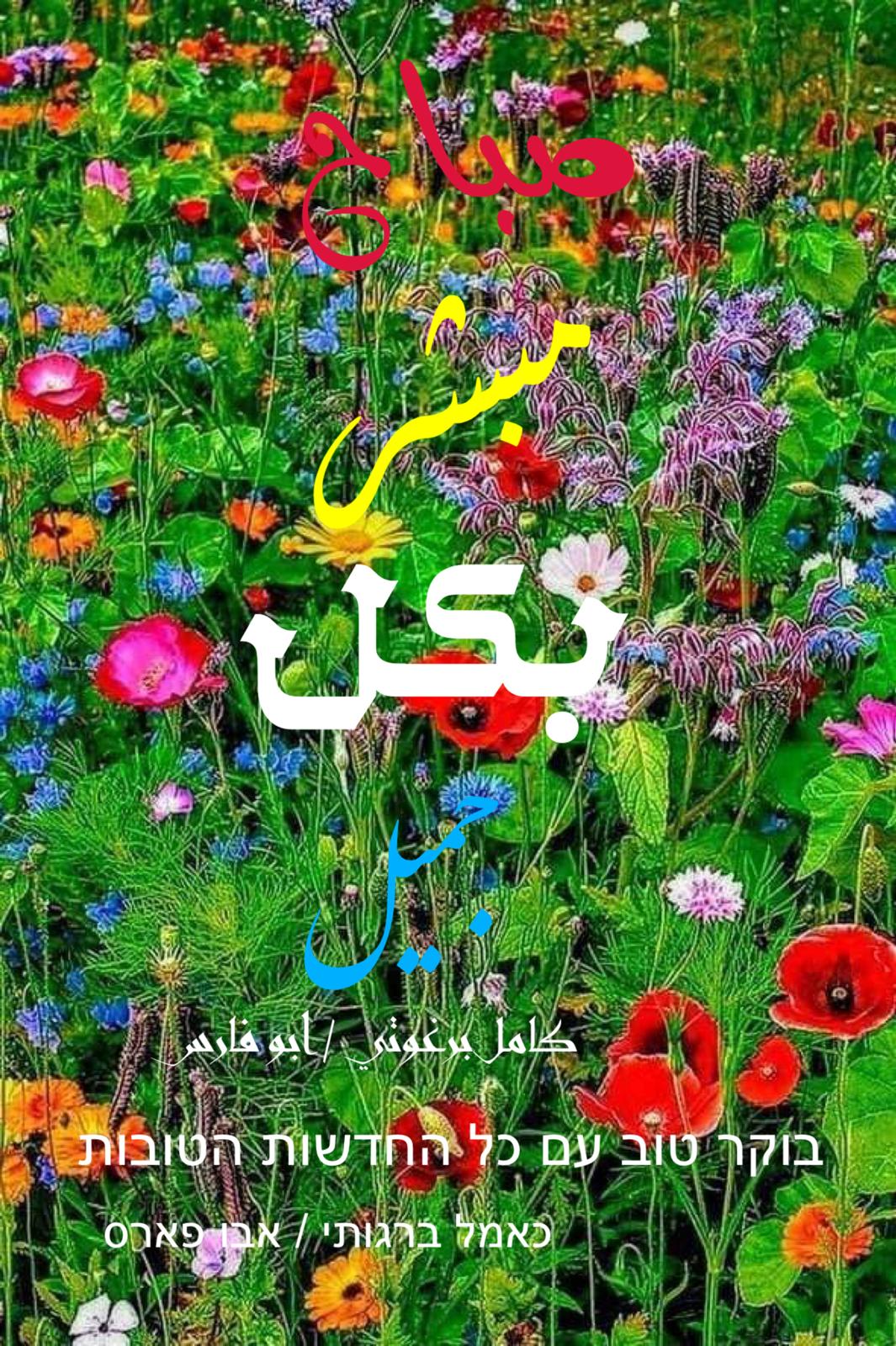 العبرية والأنجليزية – اقتباس 27