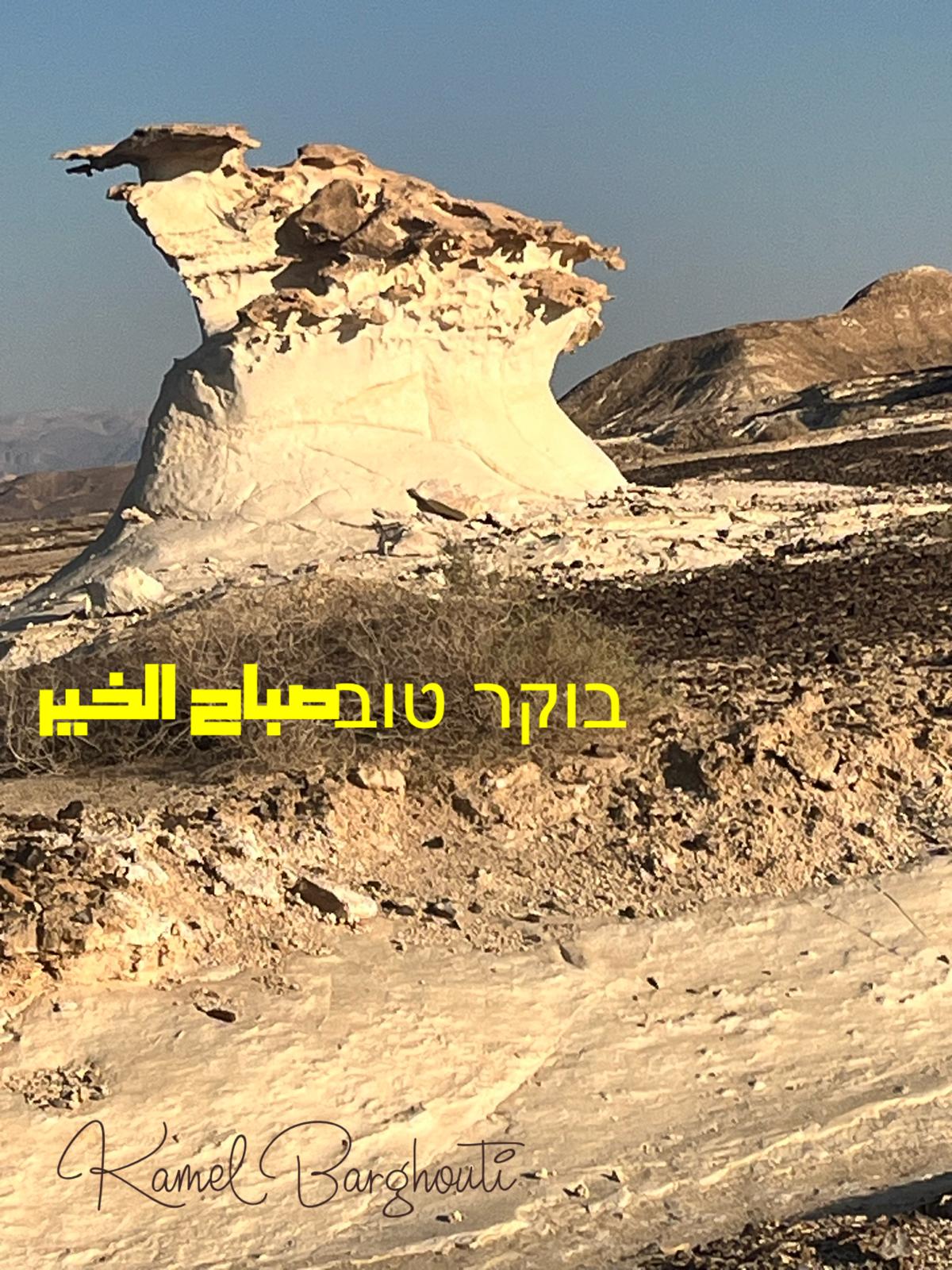 العبرية والأنجليزية – اقتباس 23