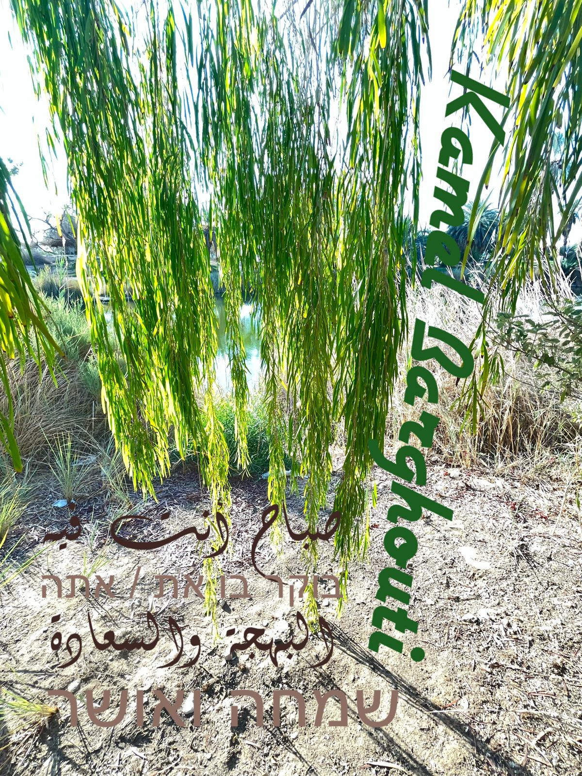العبرية والأنجليزية – اقتباس 7