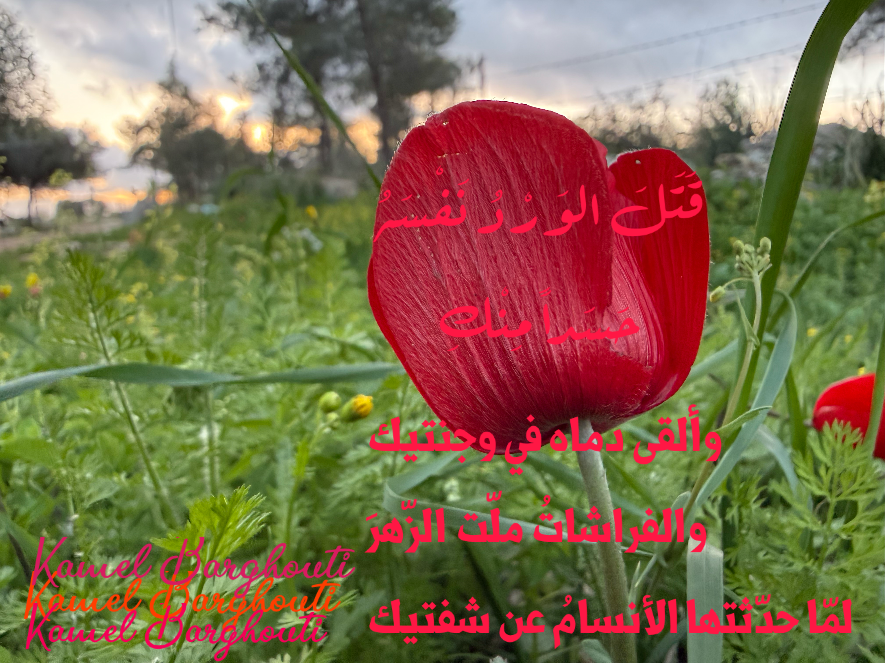 حب وحنين – اقتباس 34