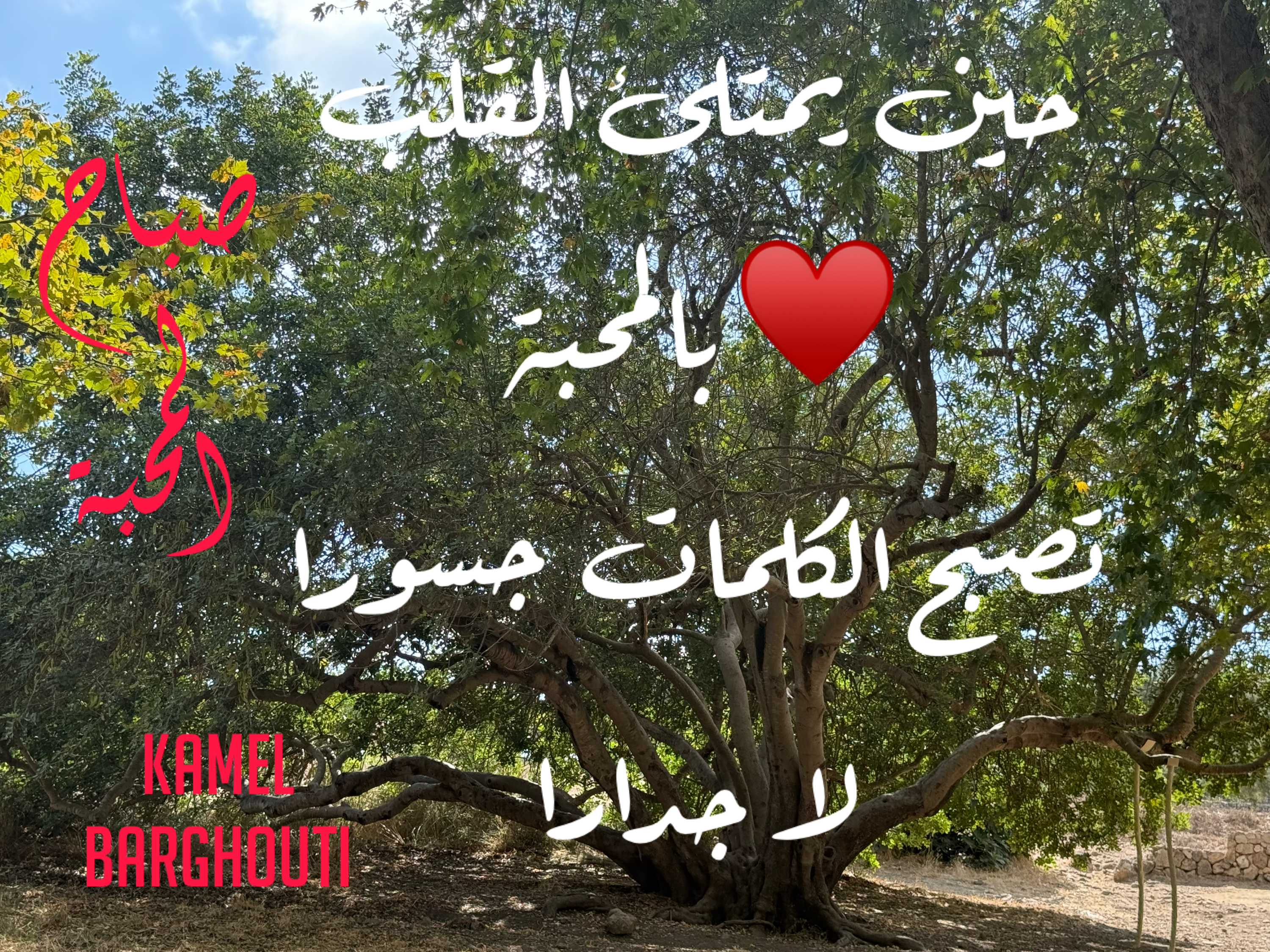 صباح الخير – اقتباس 26
