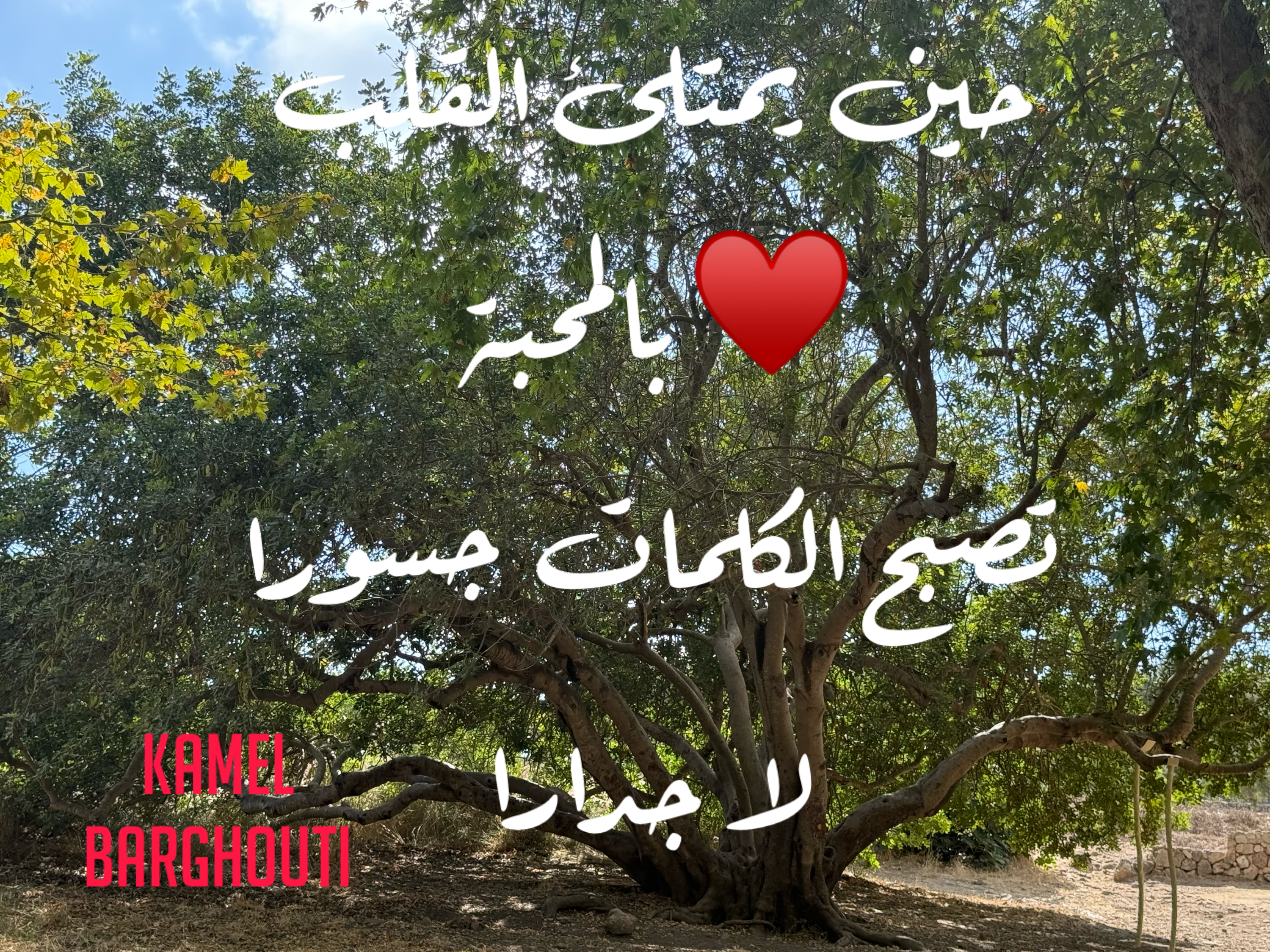 حب وحنين – اقتباس 33