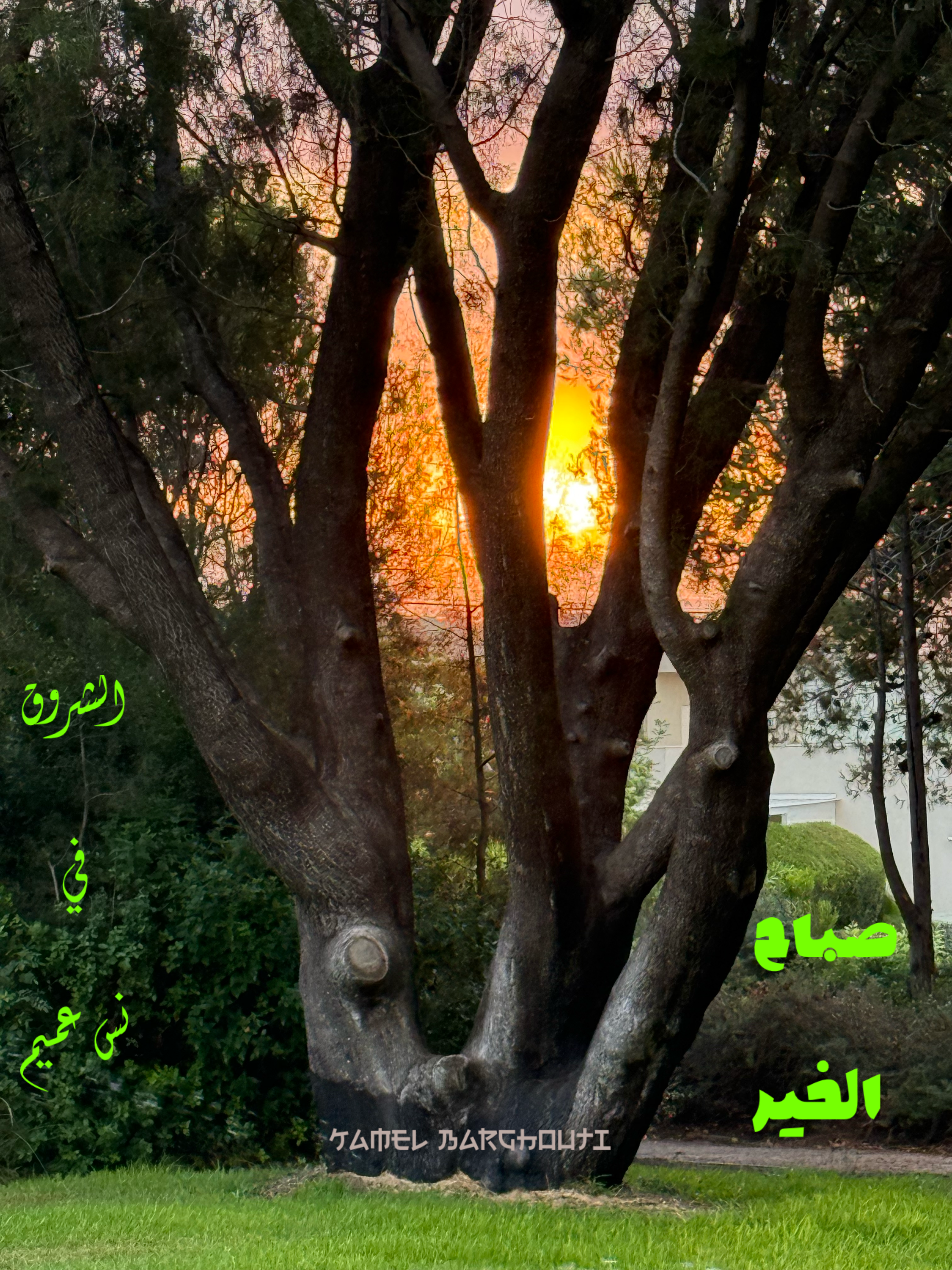 صباح الخير – اقتباس 25