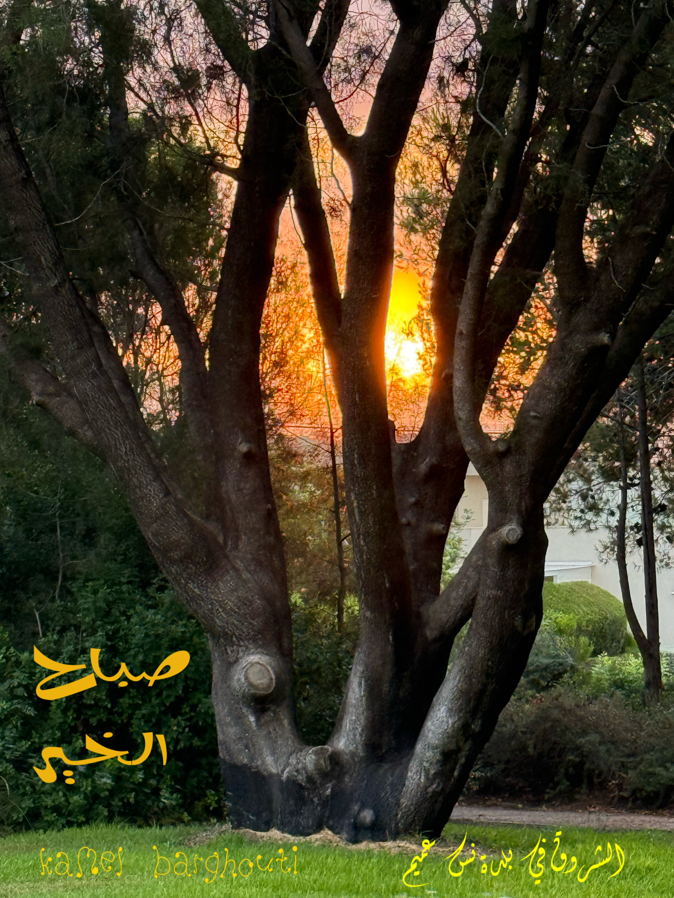 صباح الخير – اقتباس 24
