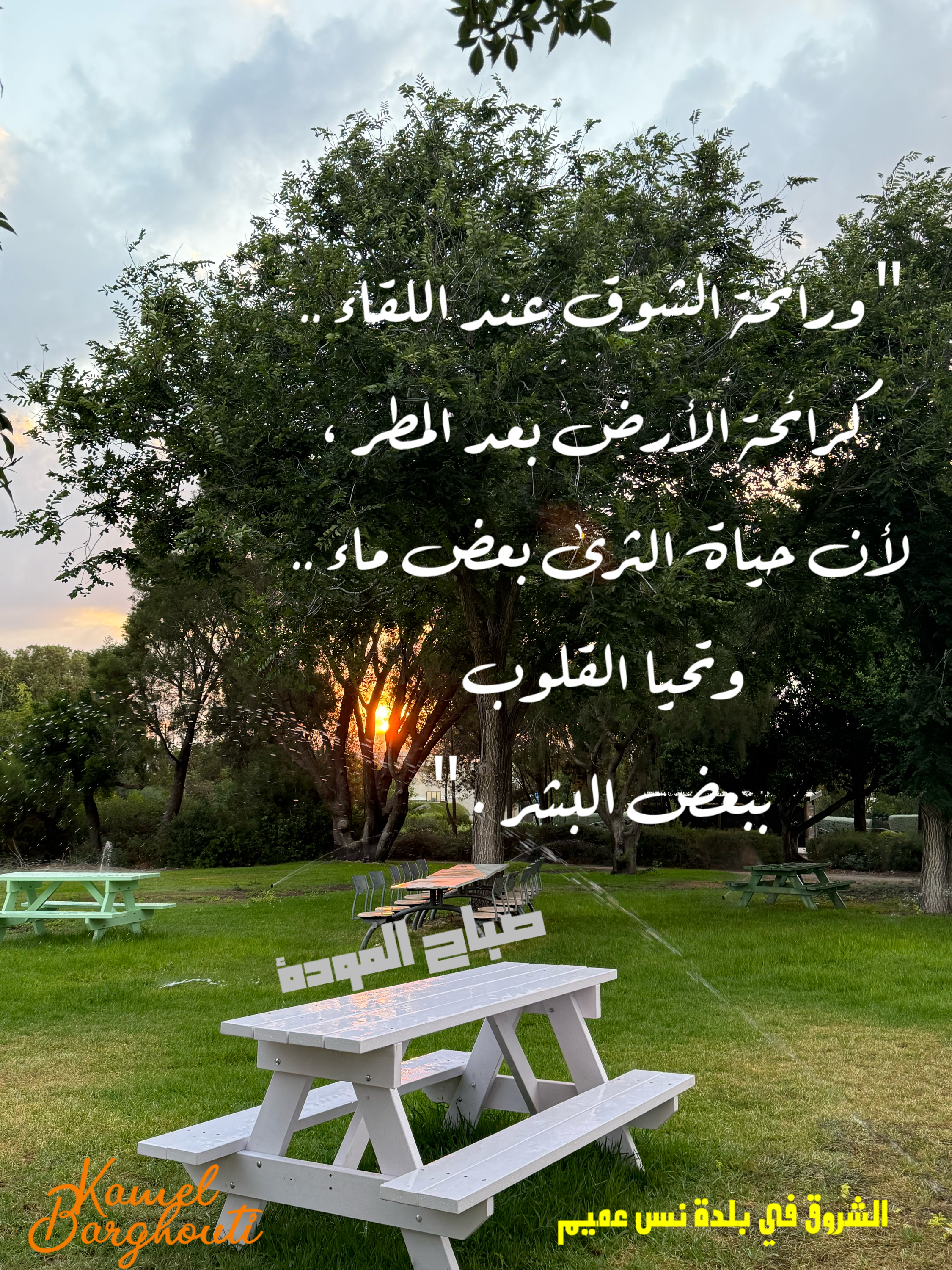 حب وحنين – اقتباس 32