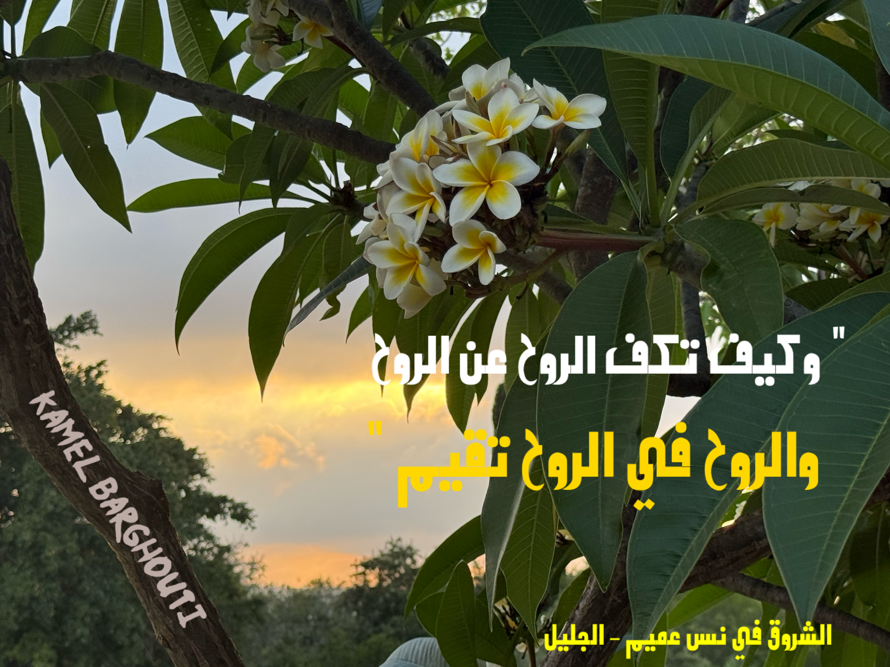 حب وحنين – اقتباس 30