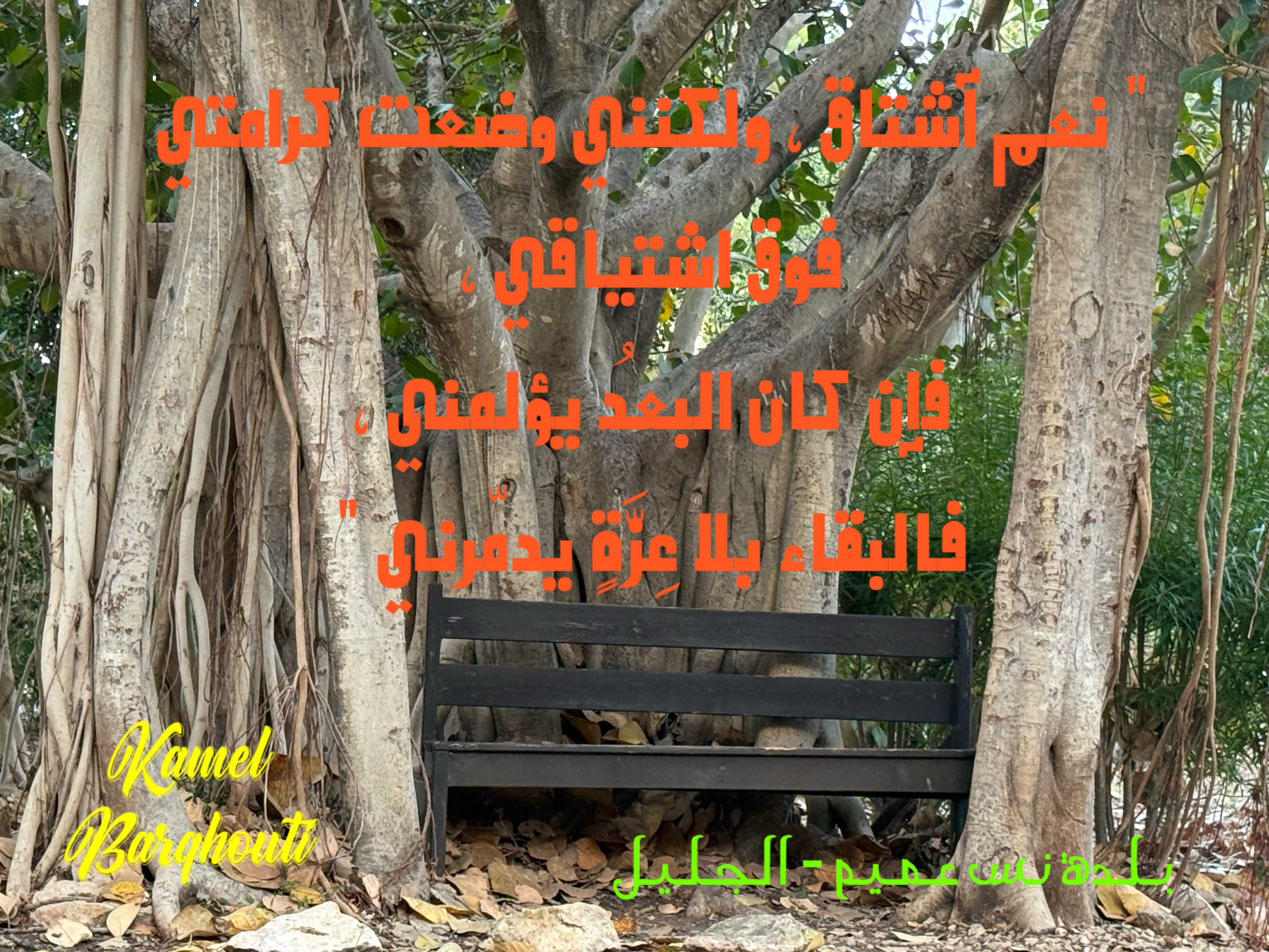حب وحنين – اقتباس 29