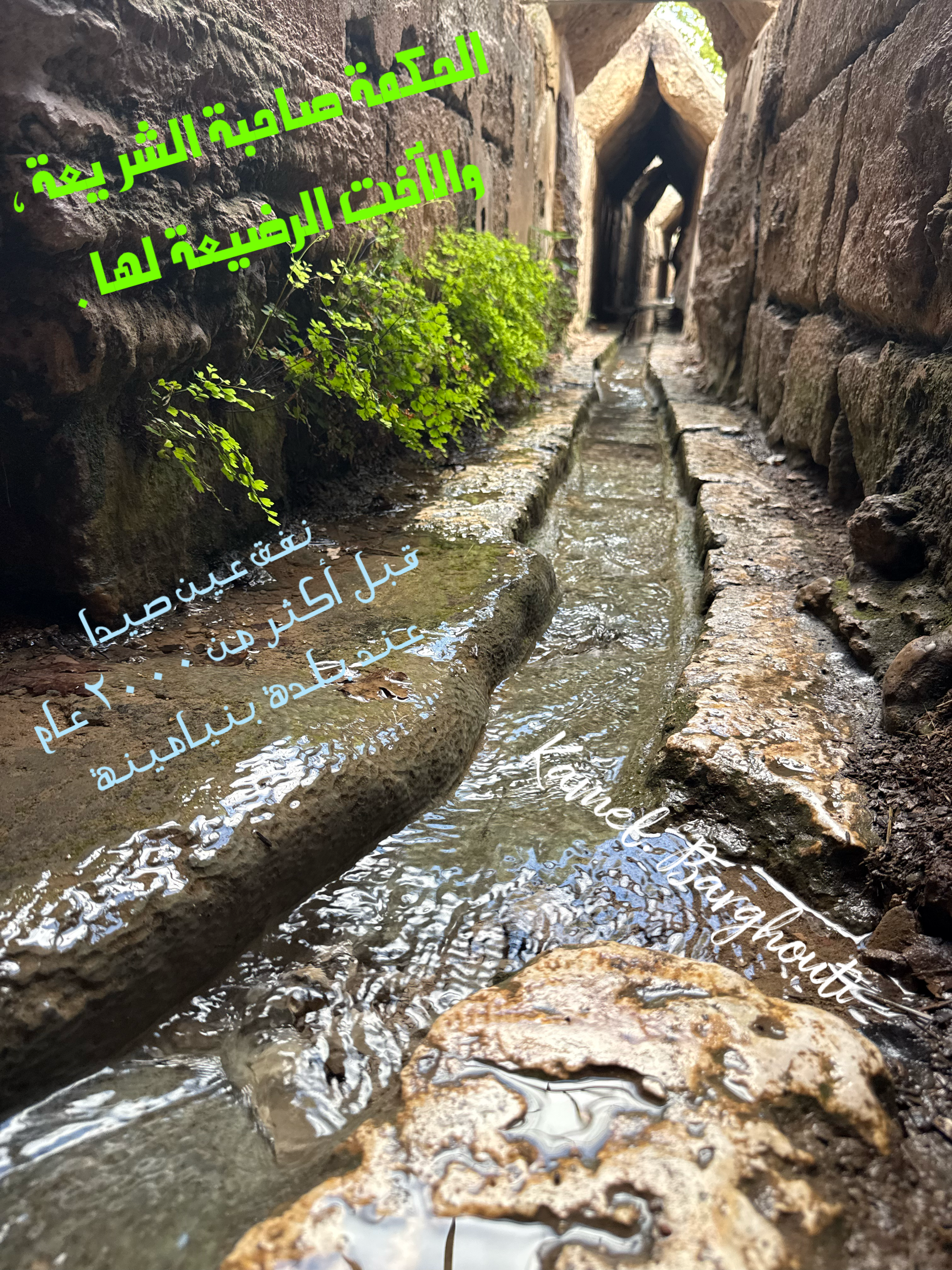 الحق والعدل والصدق – اقتباس 3