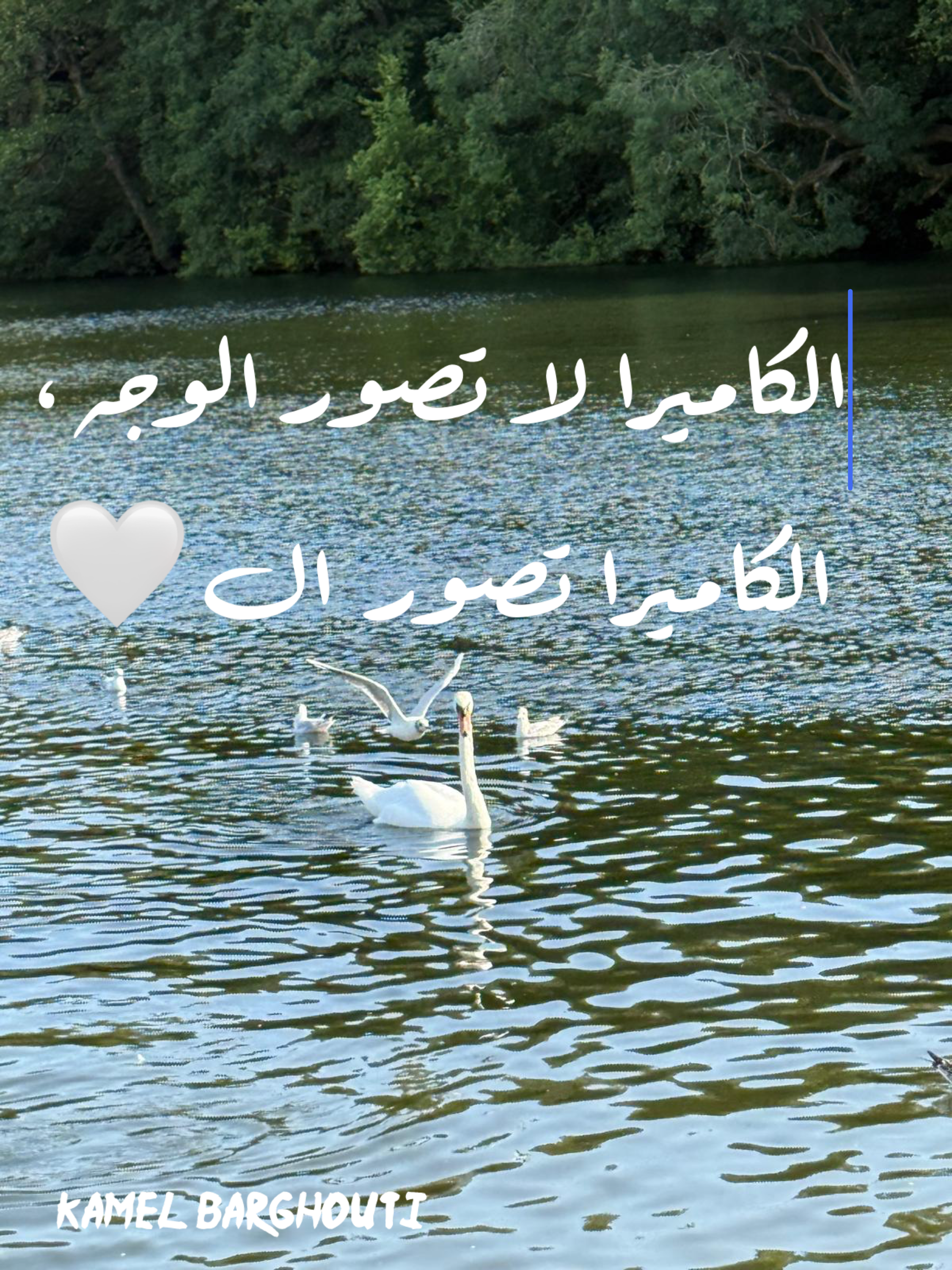 حكمة – اقتباس 82