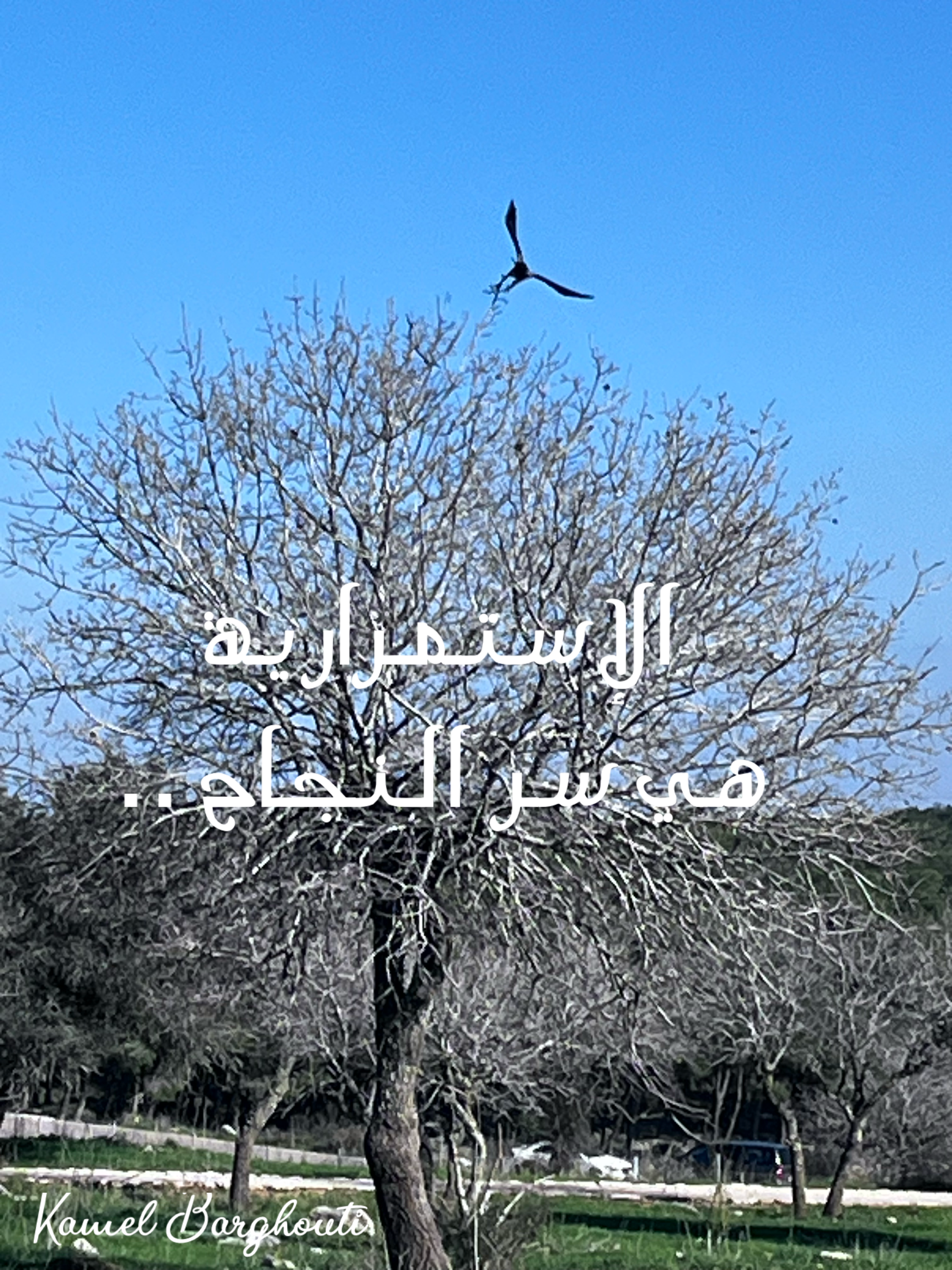 حكمة – اقتباس 81