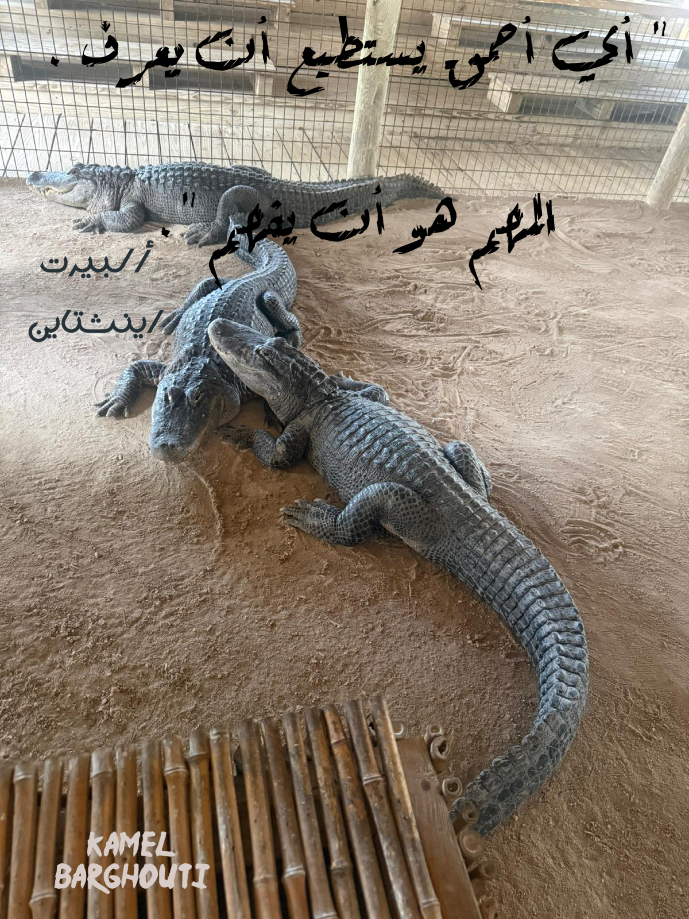 حكمة – اقتباس 75
