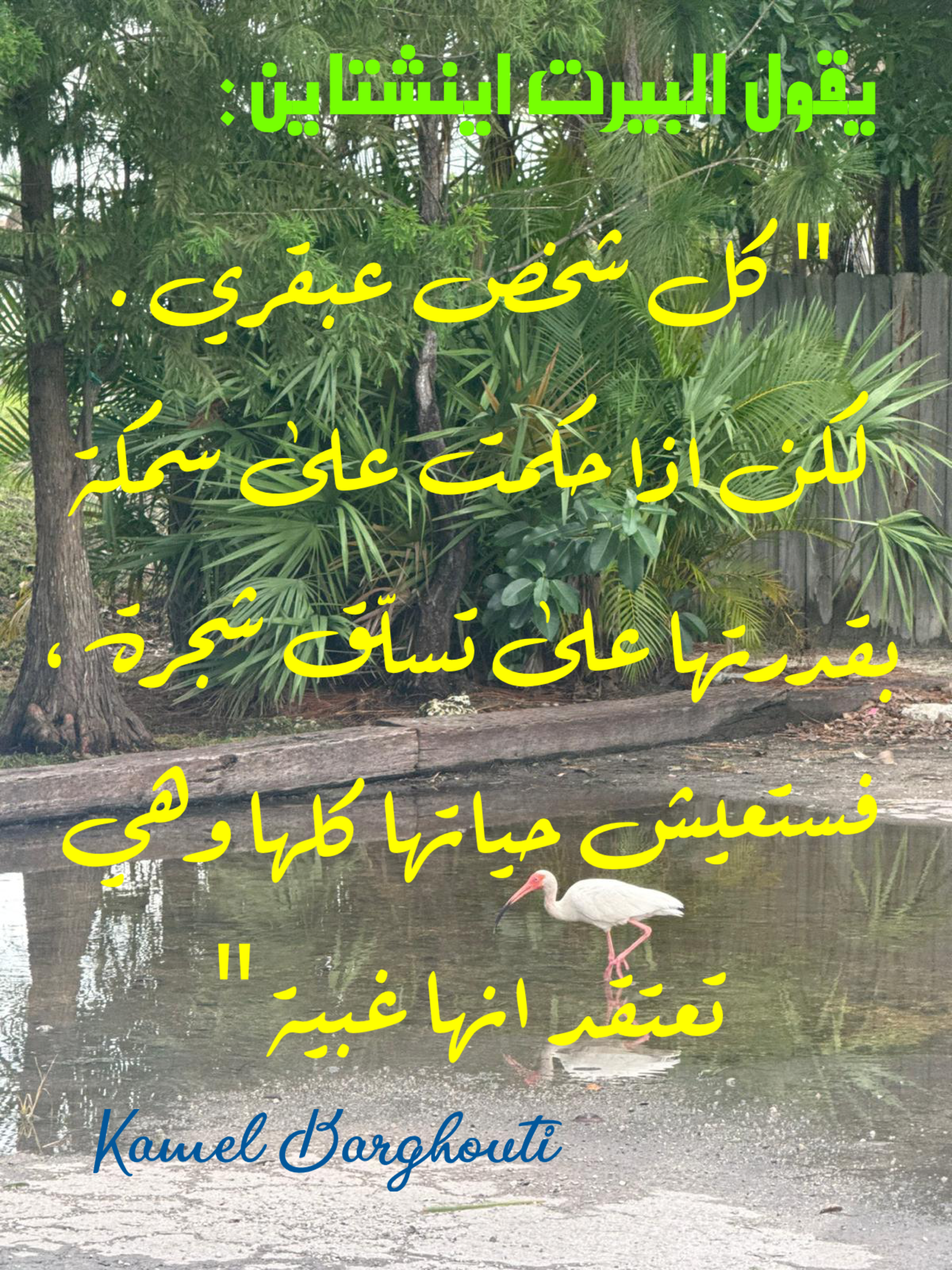 حكمة – اقتباس 74