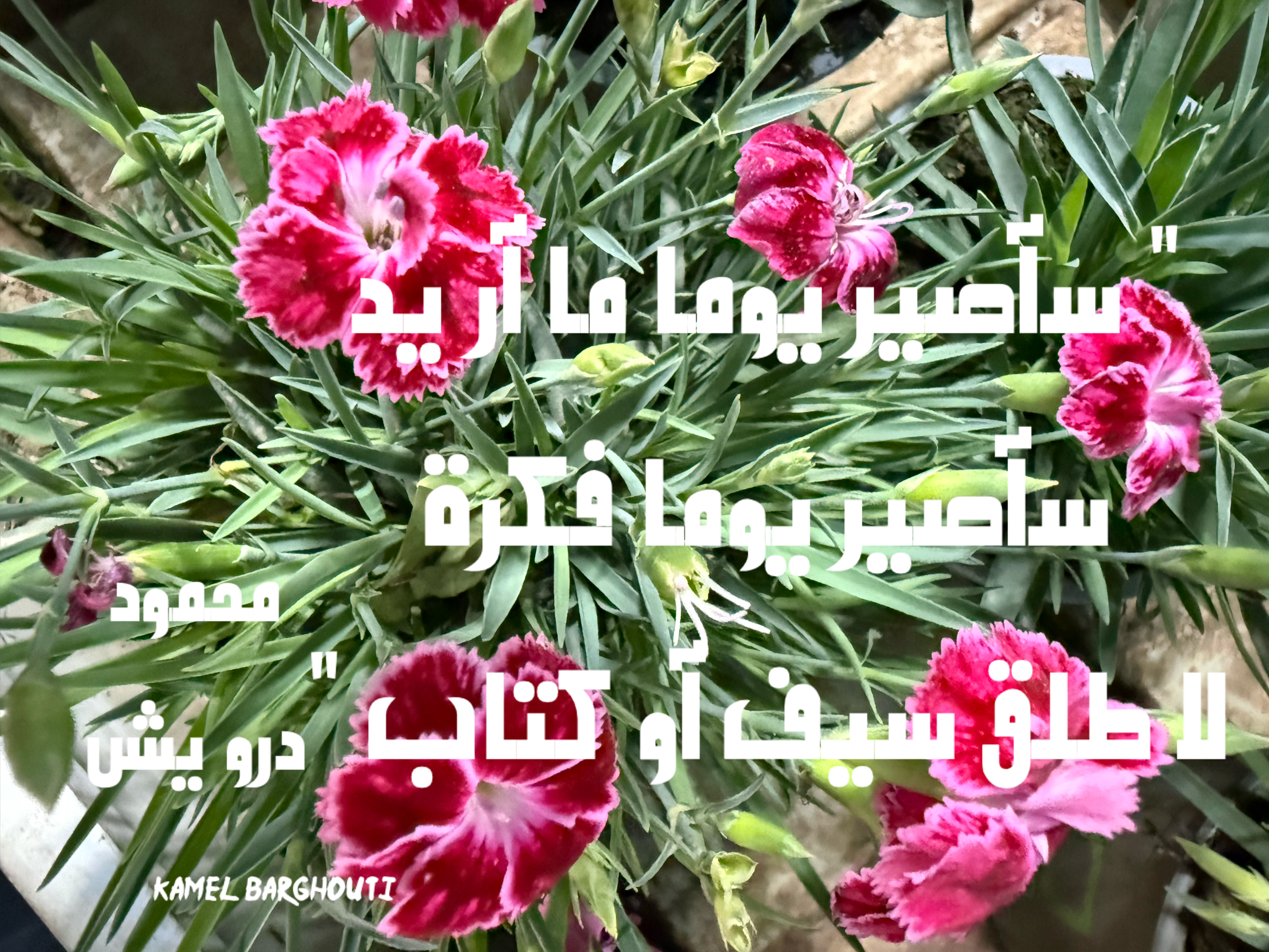 العزيمة والإصرار والثقة بالنفس – اقتباس 8