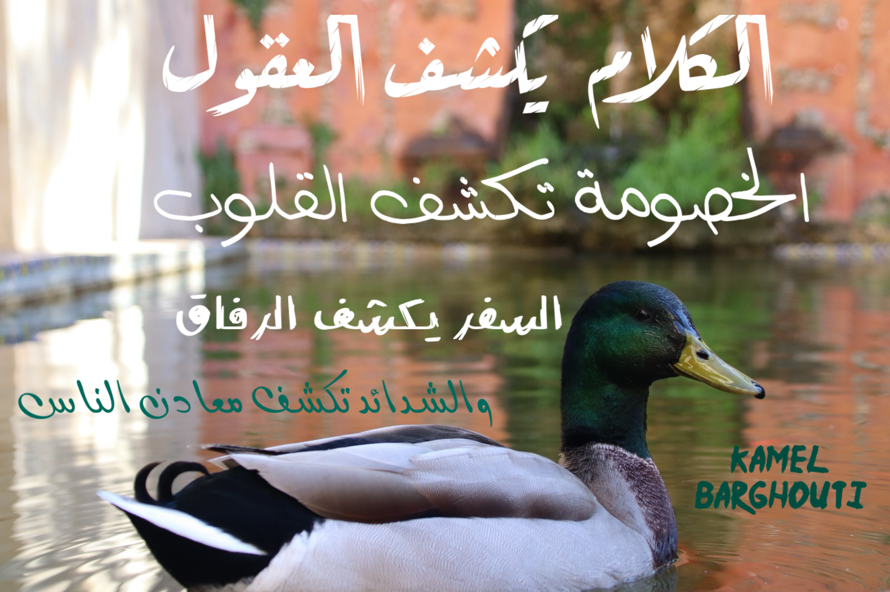 كلام جميل – اقتباس 59