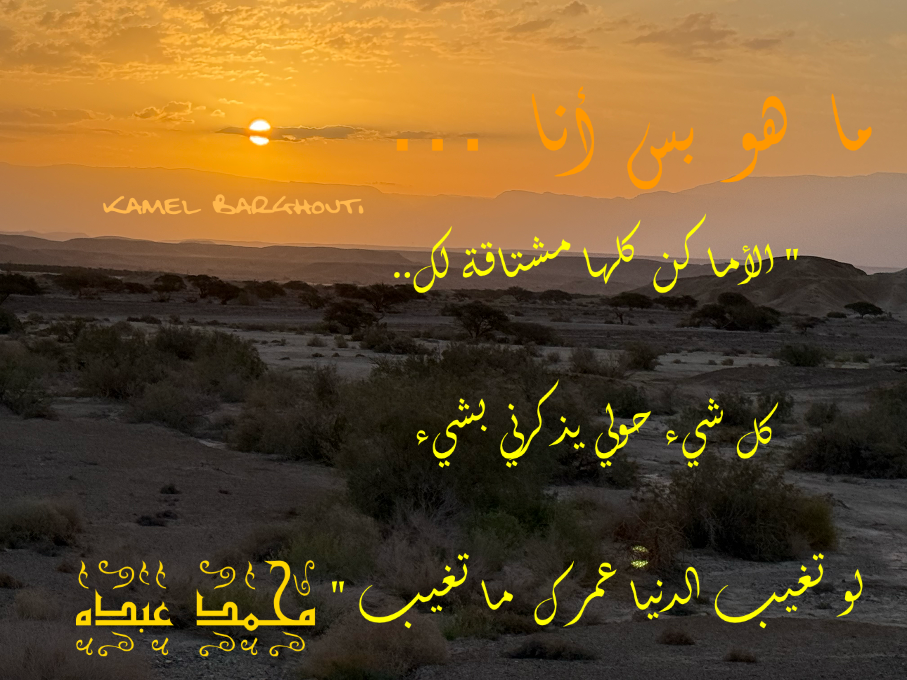 حب وحنين – اقتباس 26