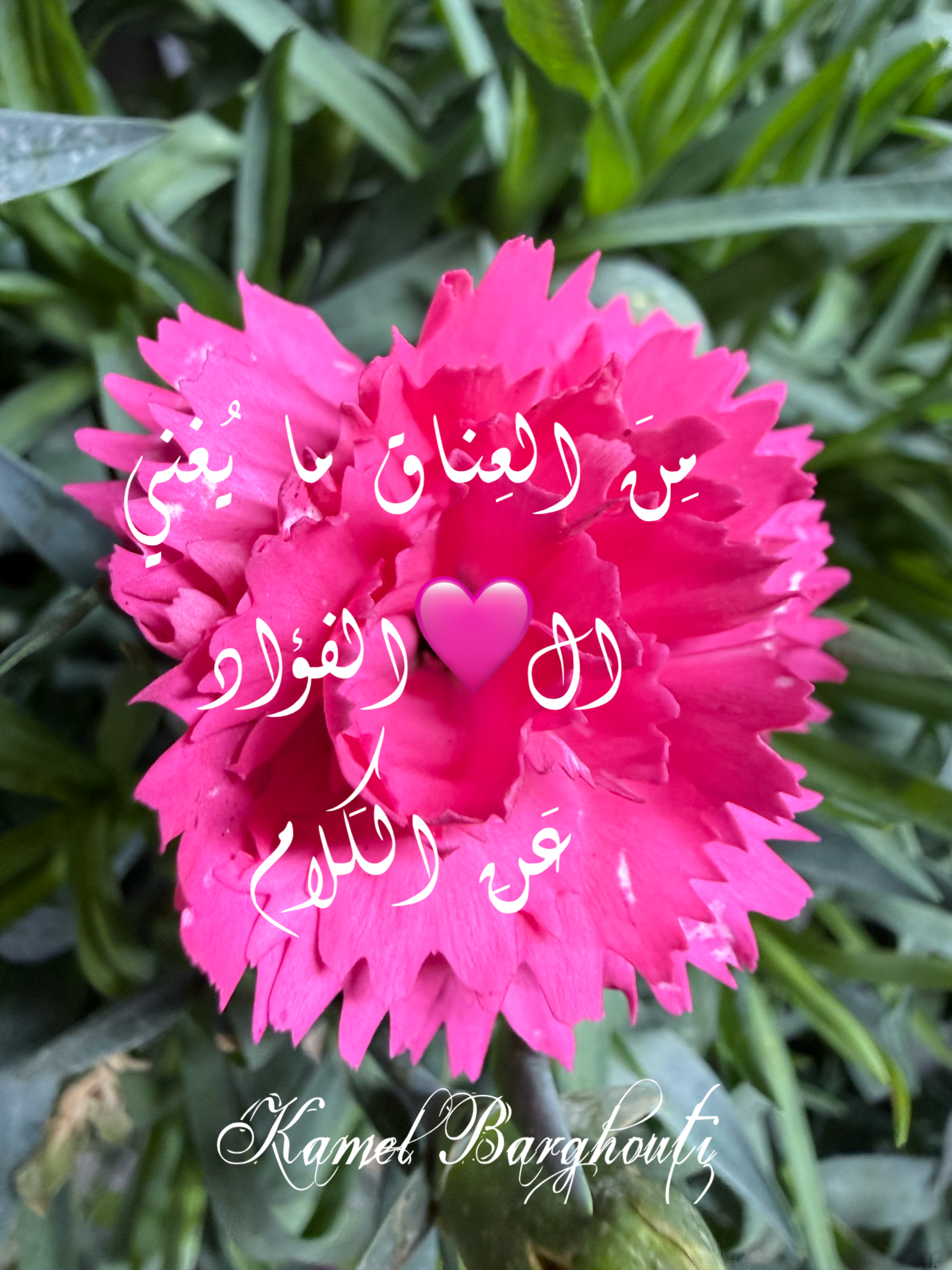 كلام جميل – اقتباس 55