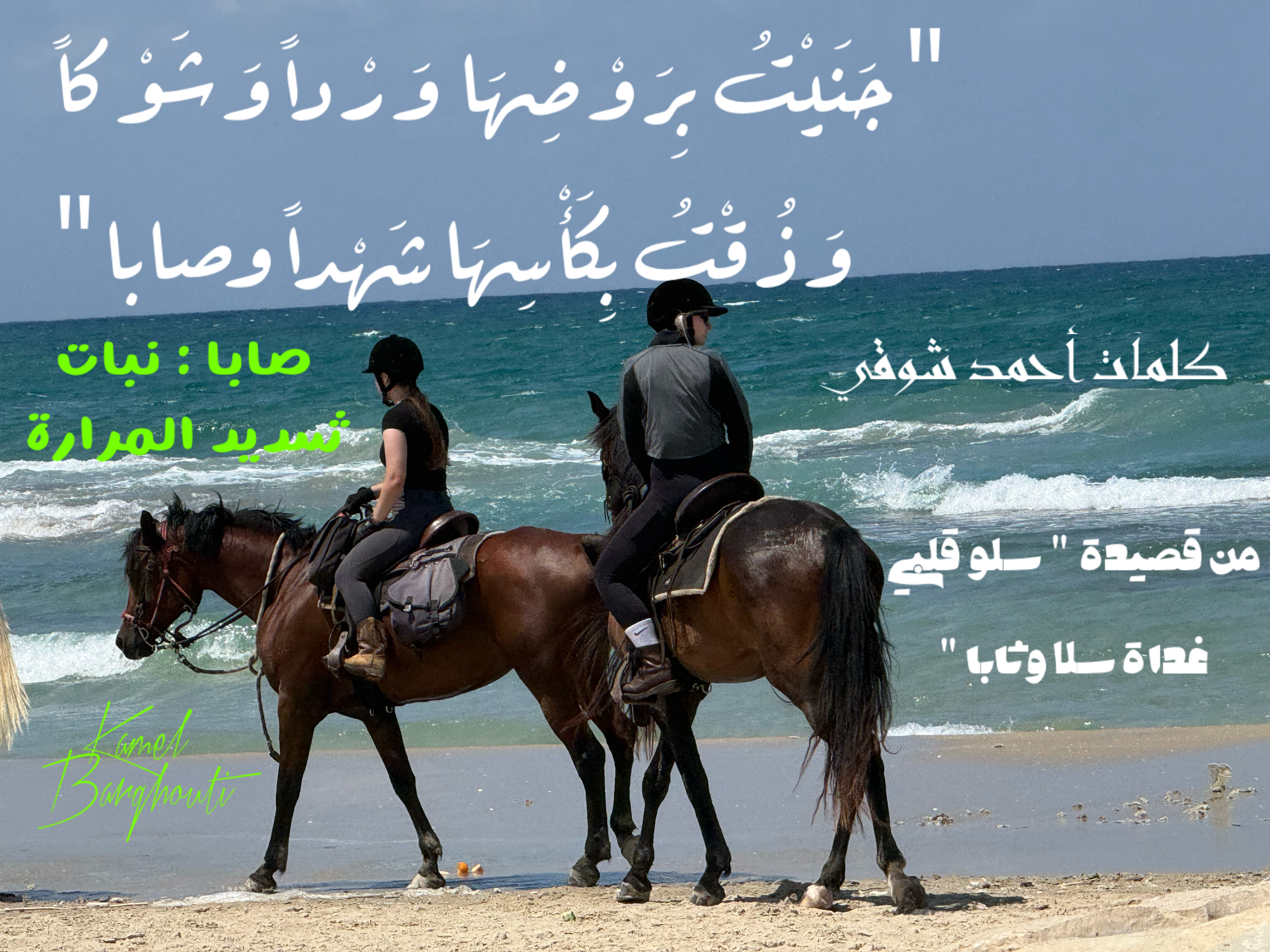 حب وحنين – اقتباس 19