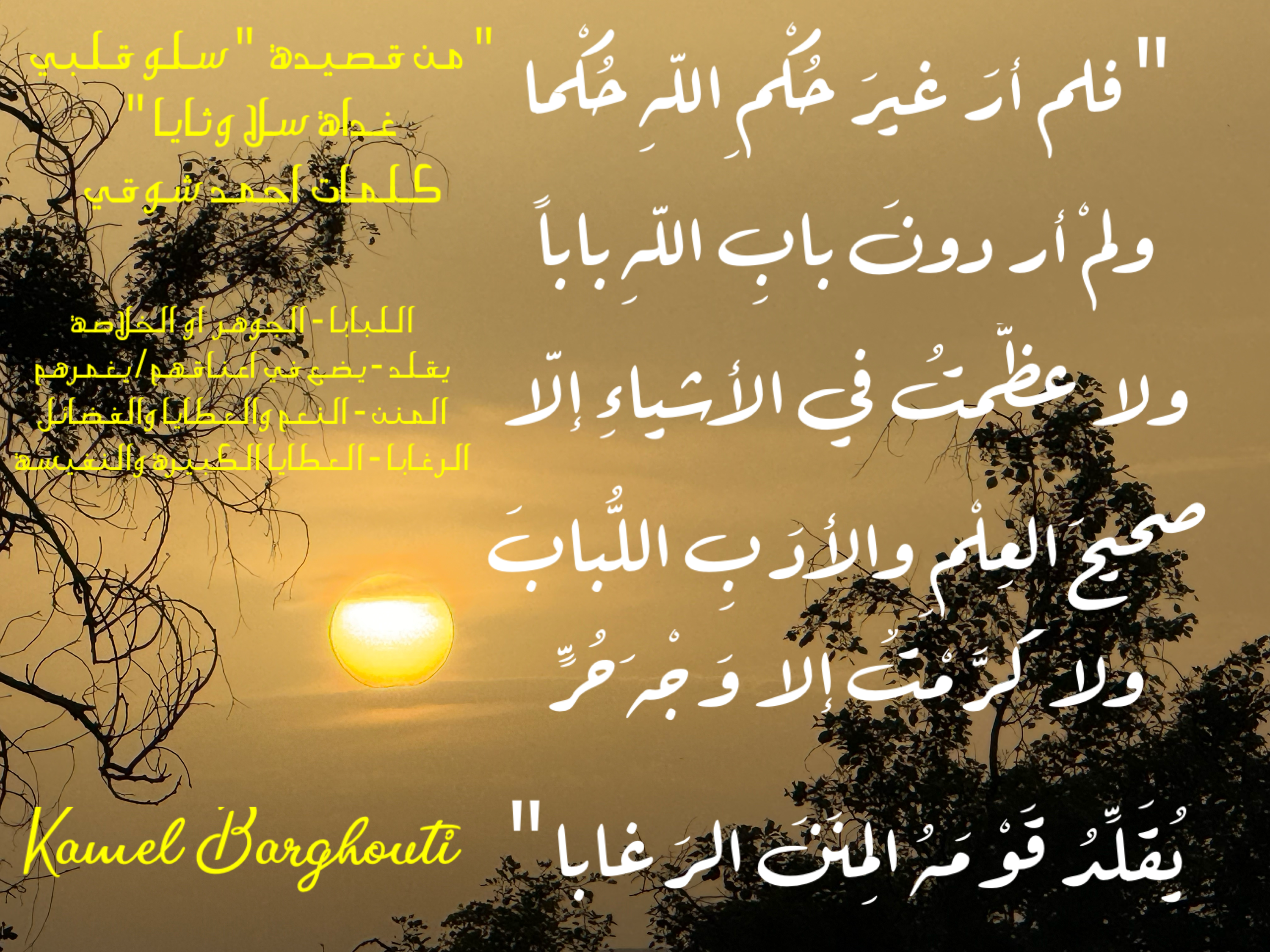 قيم إنسانية – اقتباس 28