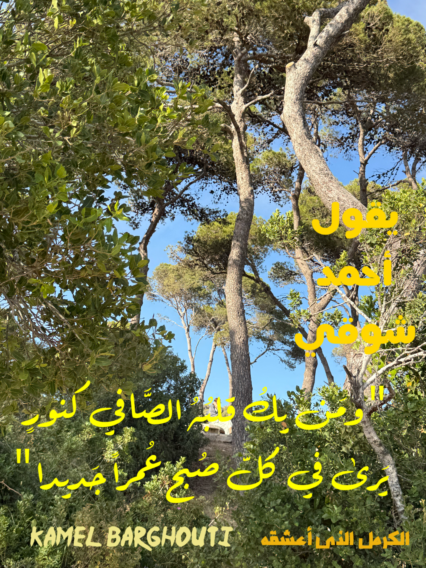 كلام جميل – اقتباس 33