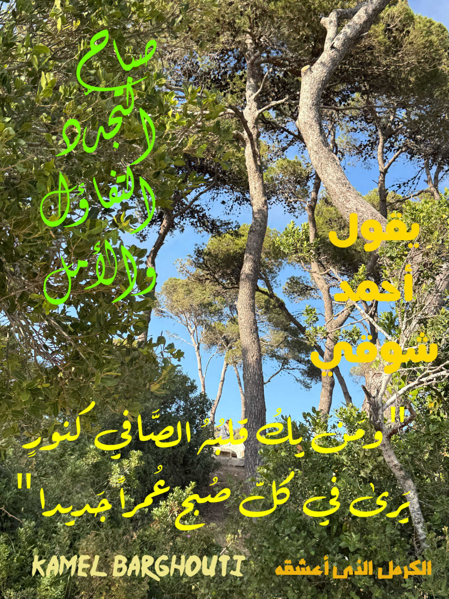 صباح الخير – اقتباس 8