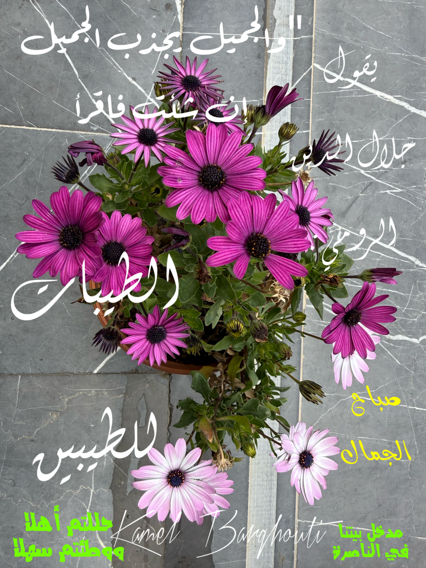 صباح الخير – اقتباس 9