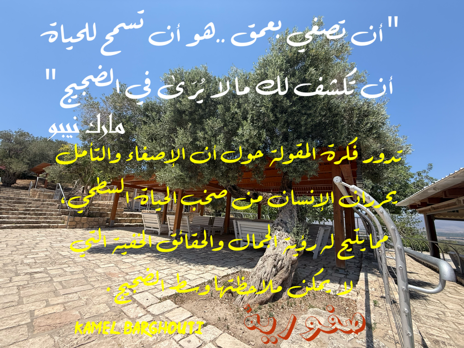 العزلة، الصمت، والتأمل – اقتباس 18